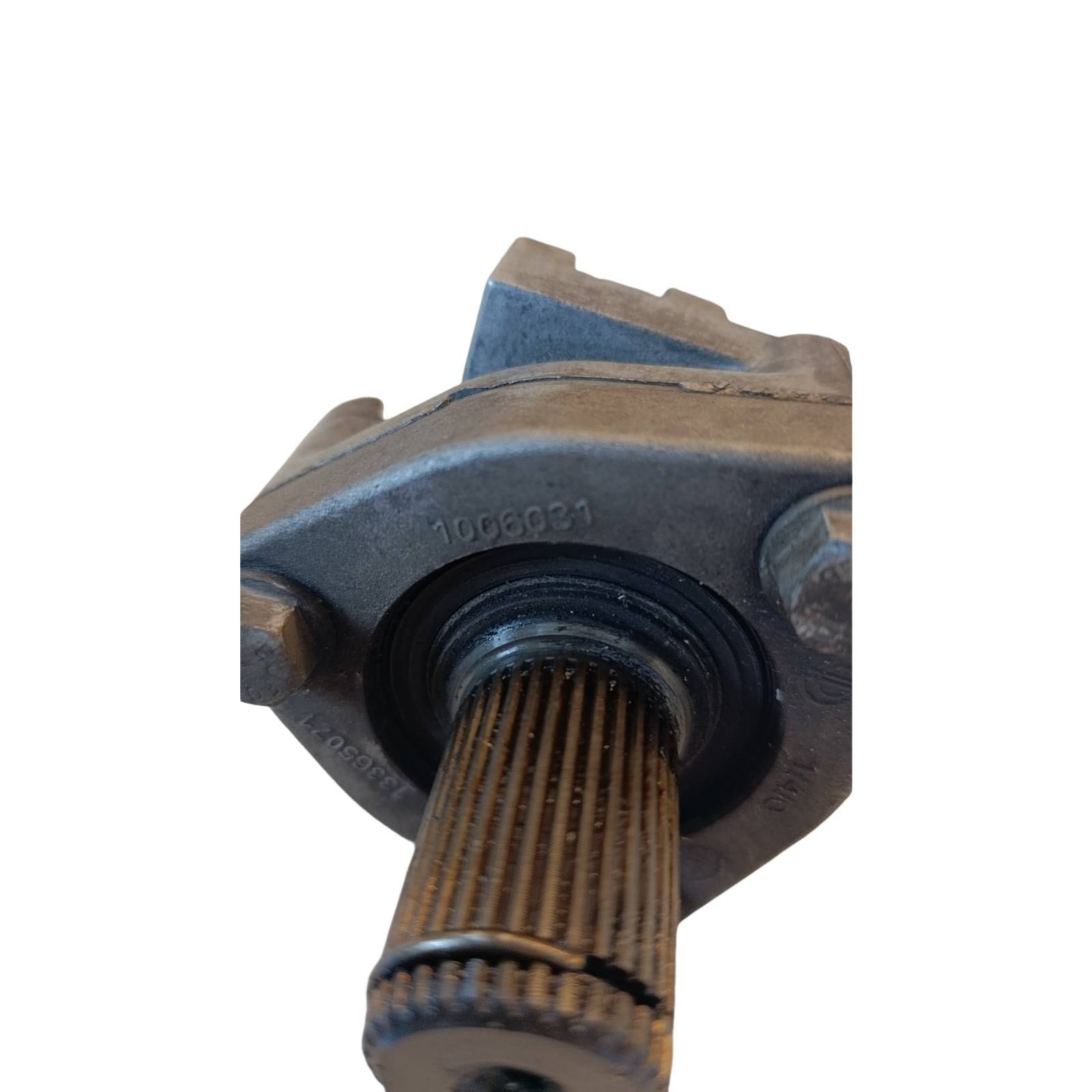 Miniatura 8
