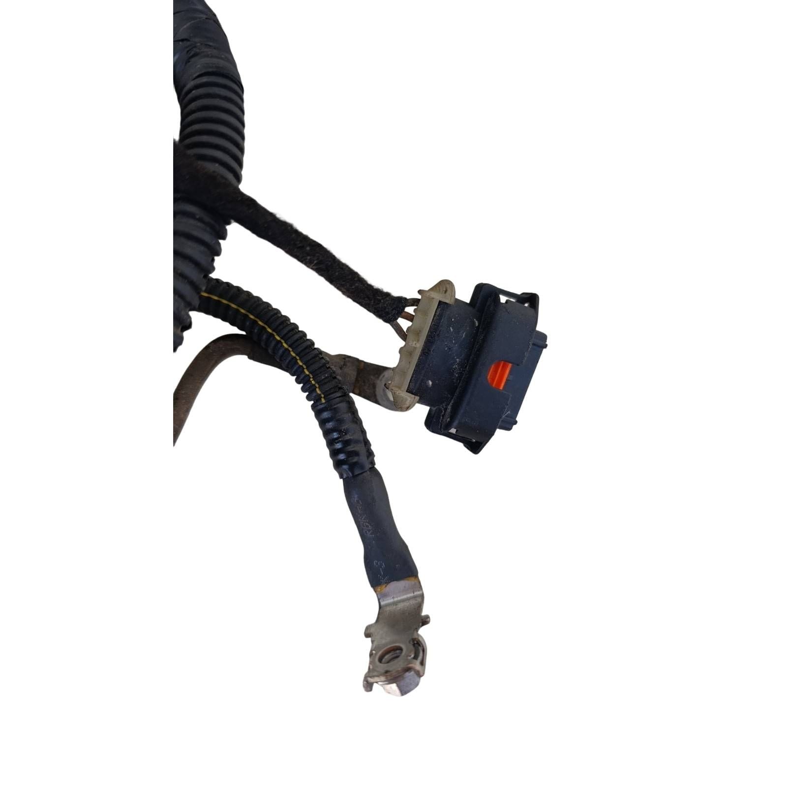 Miniatura 11