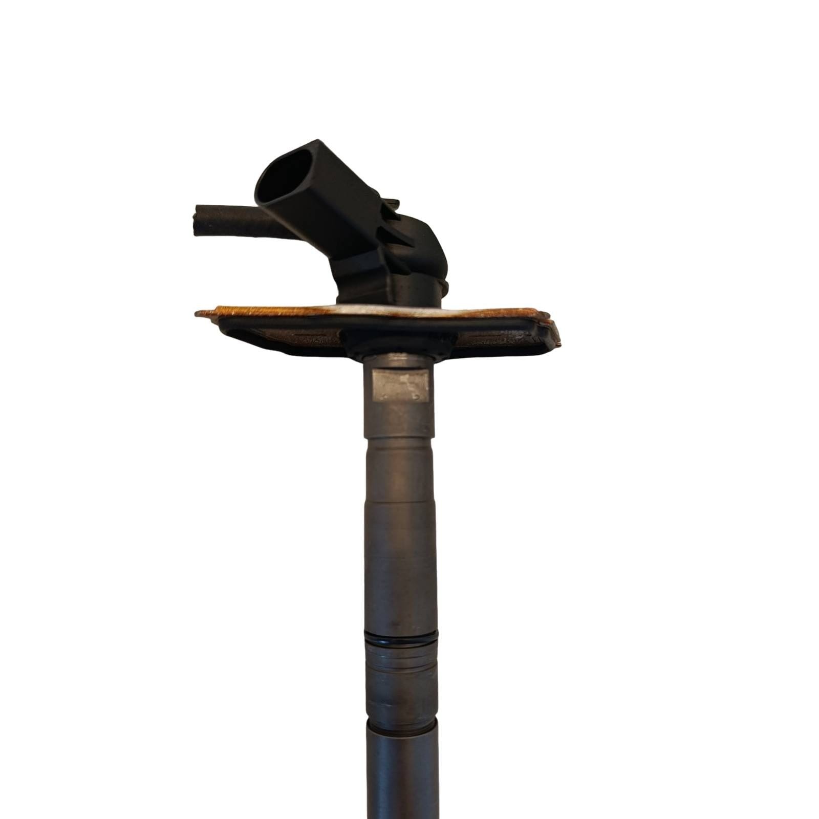 Miniatura 31