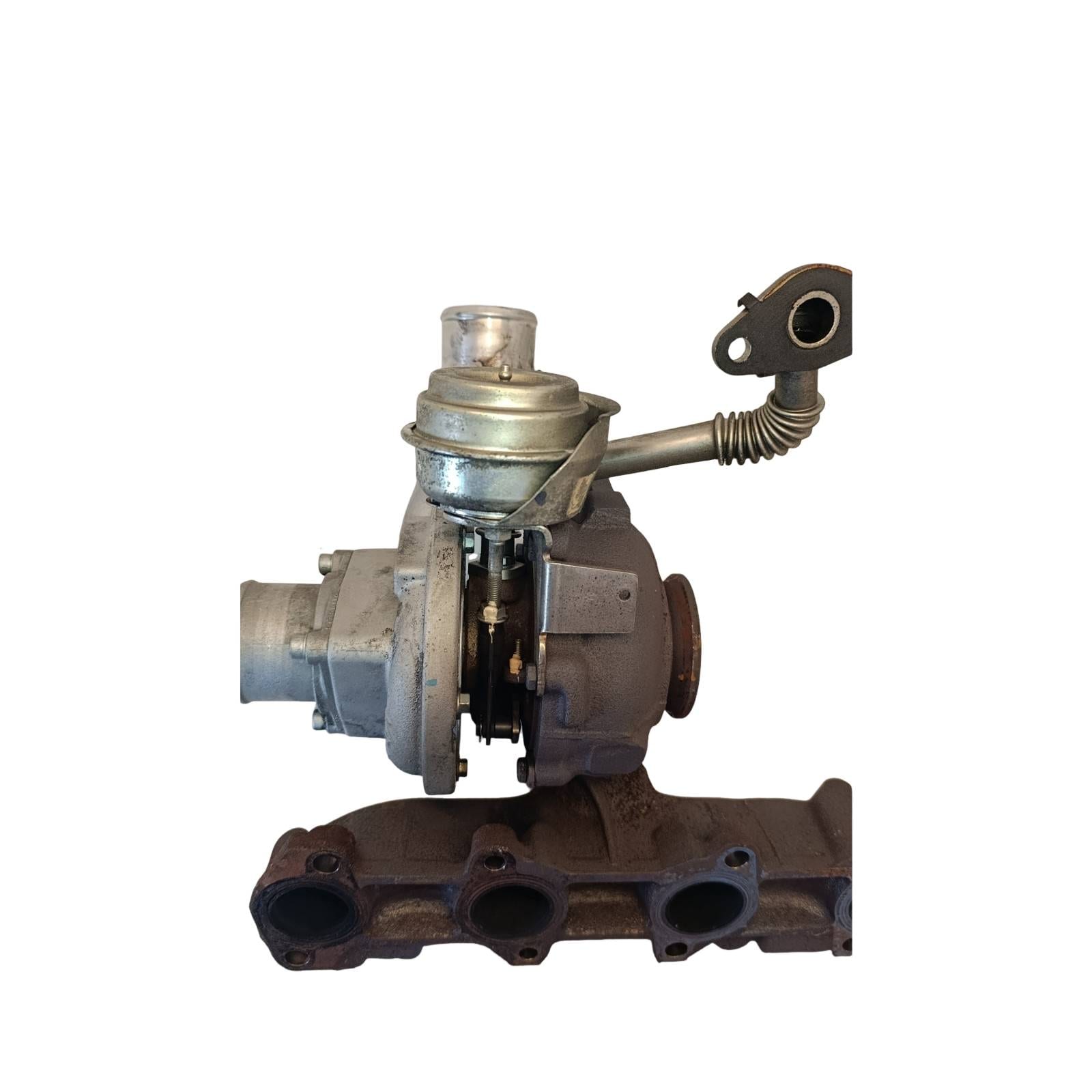 Miniatura 9