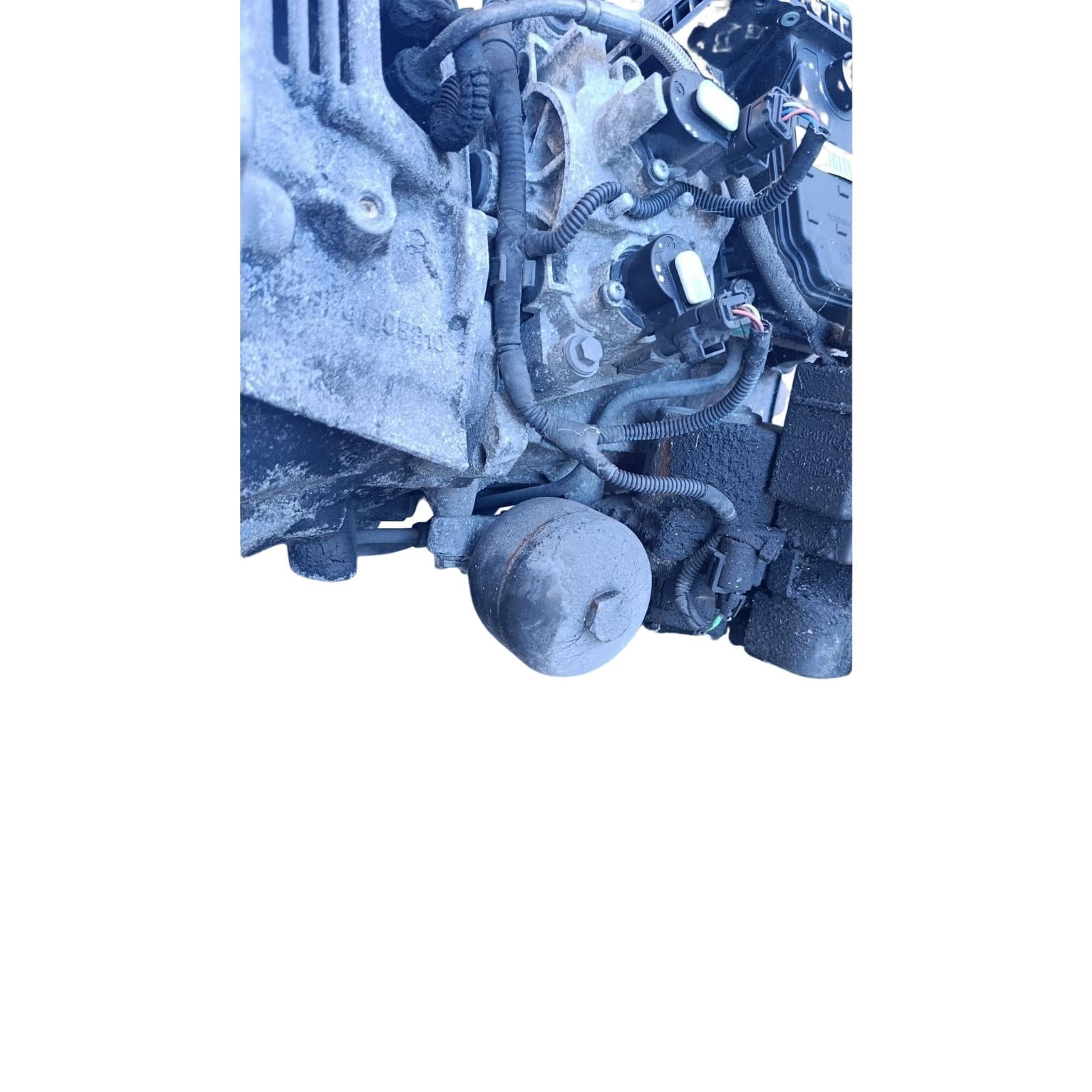 Miniatura 13