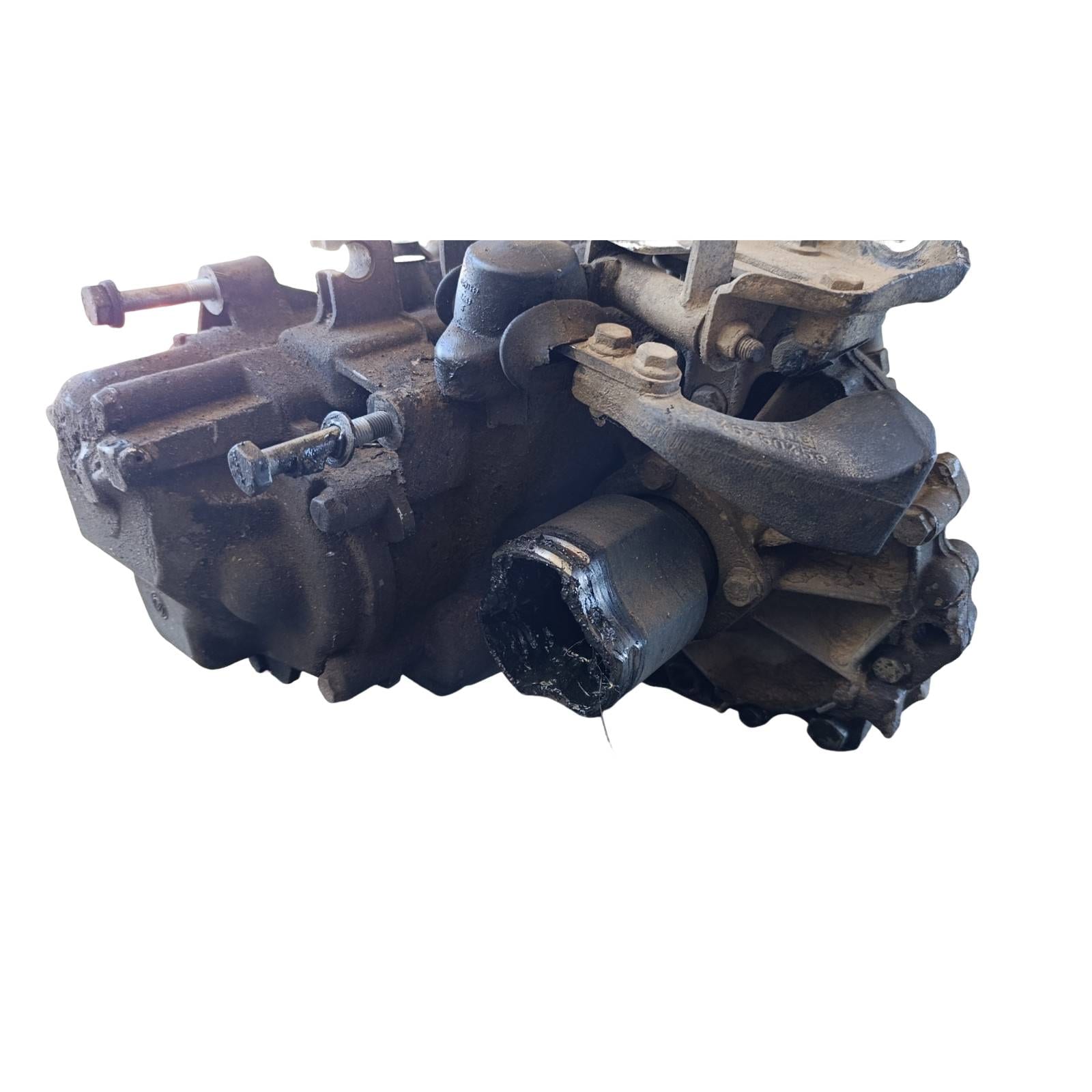 Miniatura 8