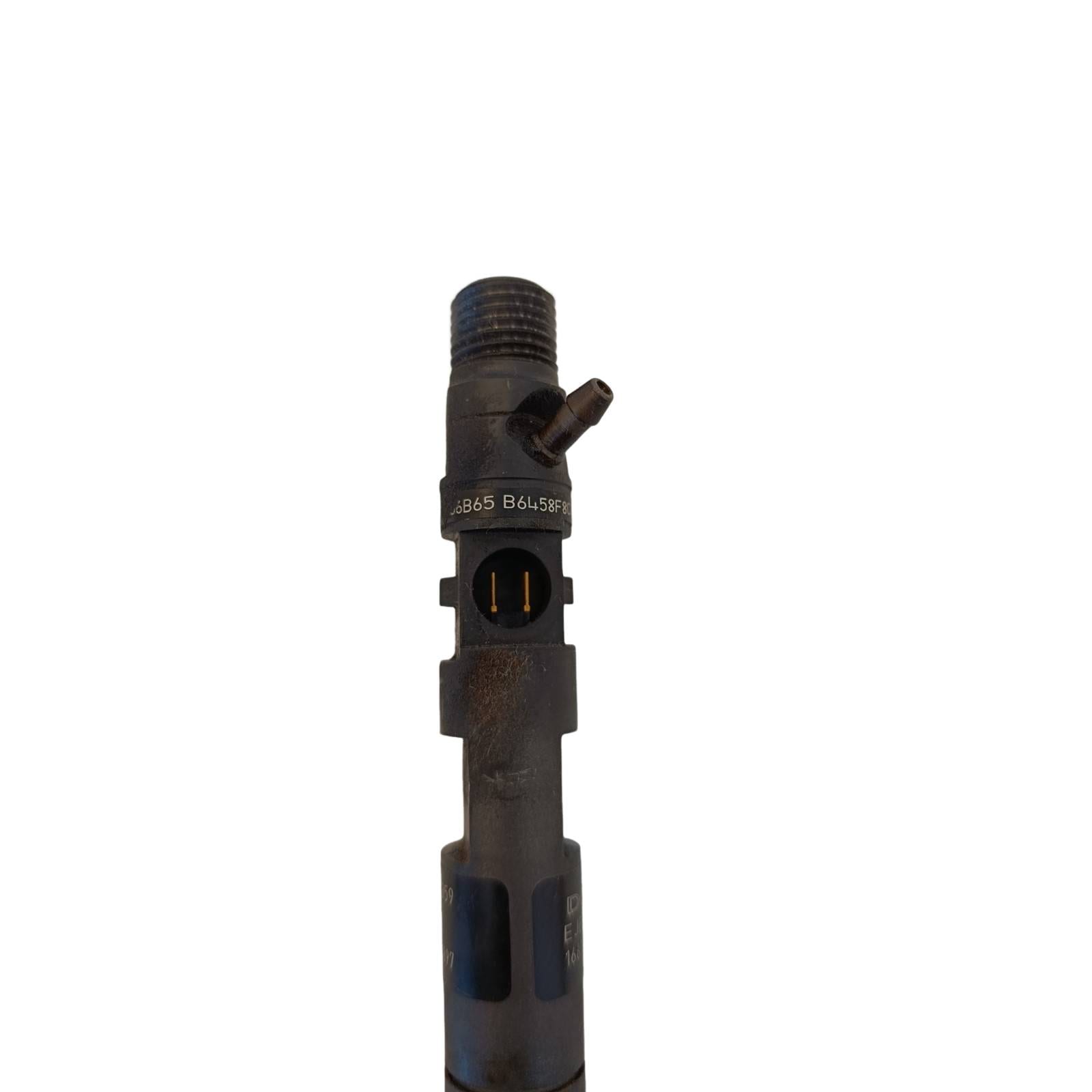 Miniatura 21