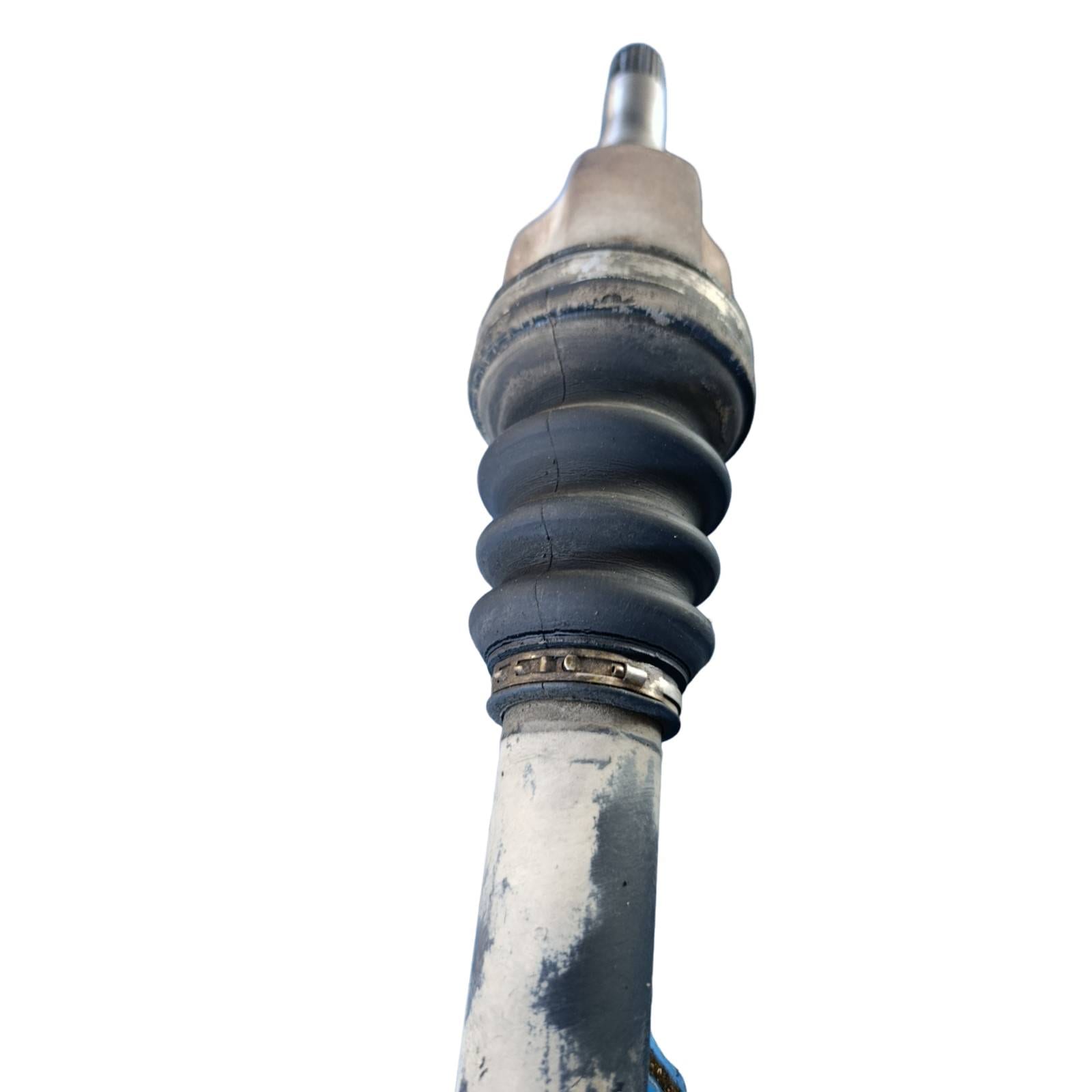 Miniatura 7