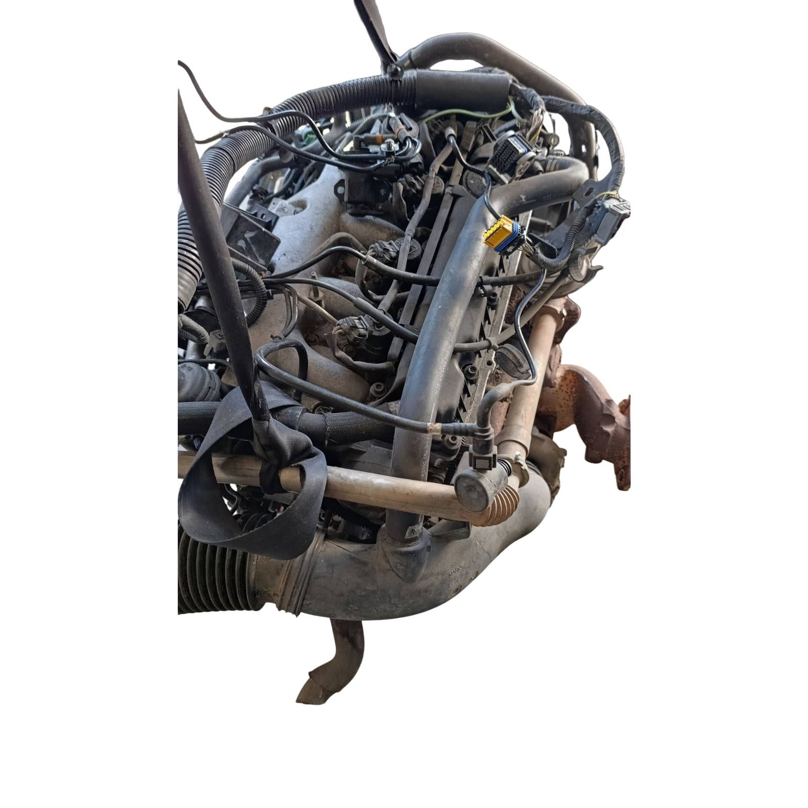 Miniatura 12