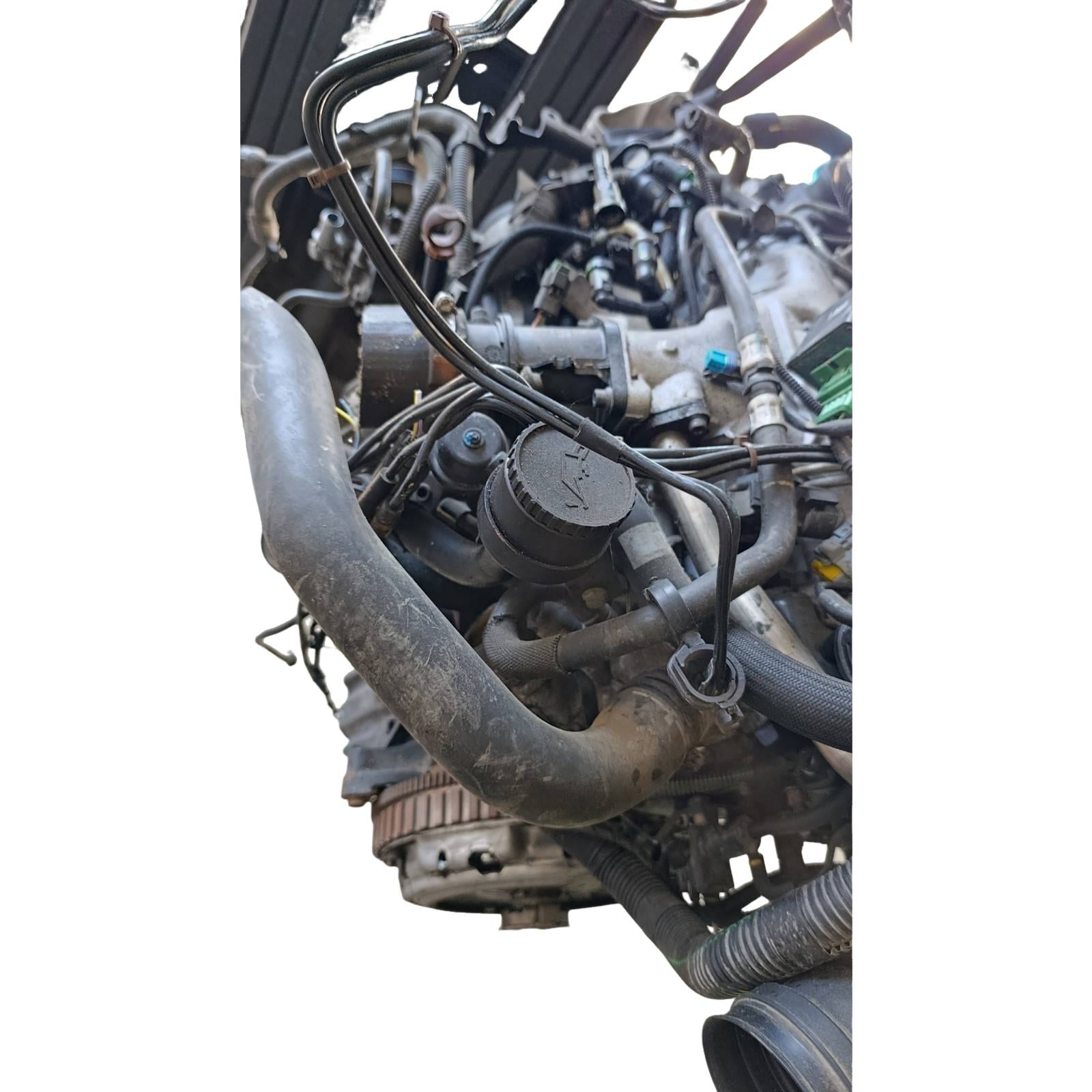 Miniatura 13