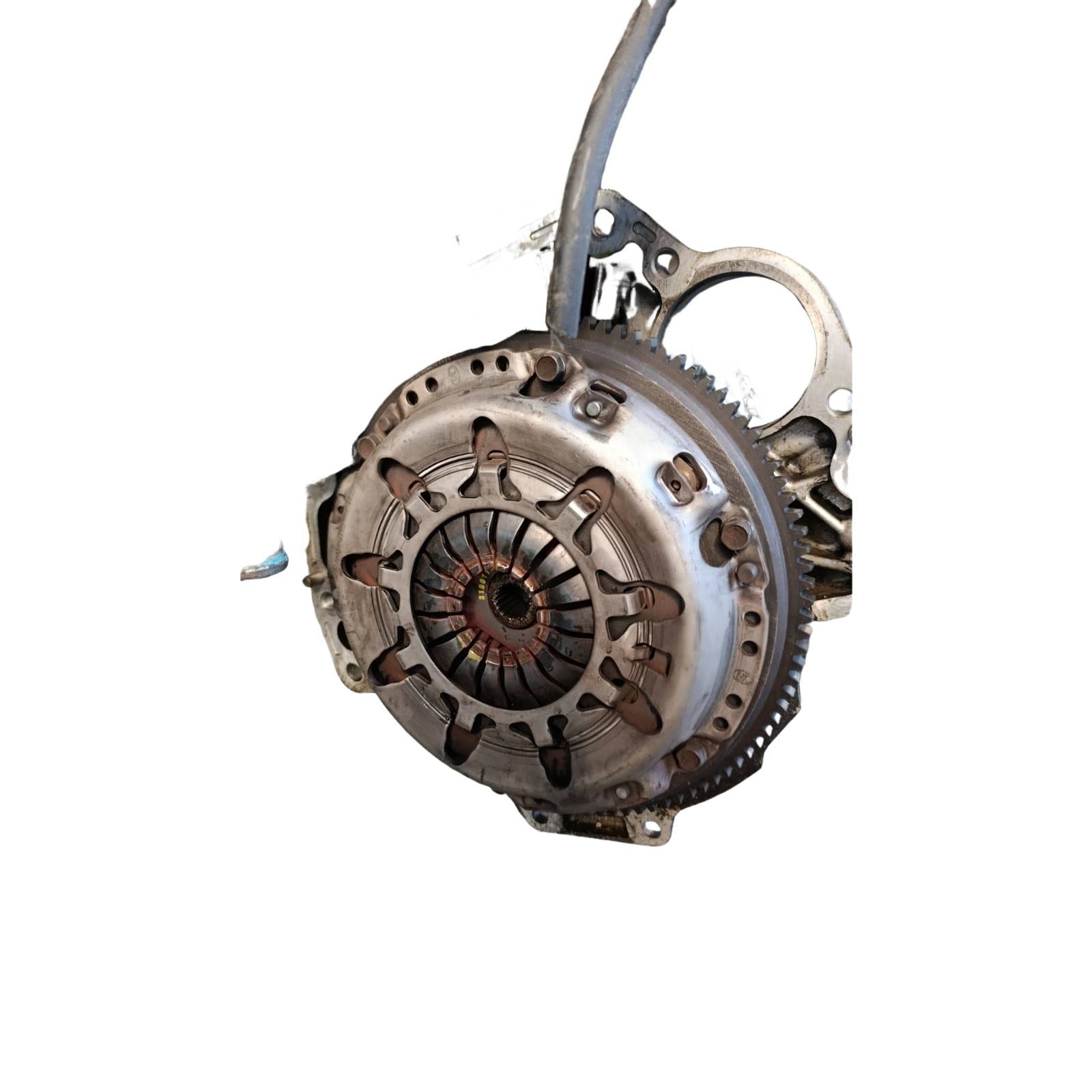 Miniatura 8