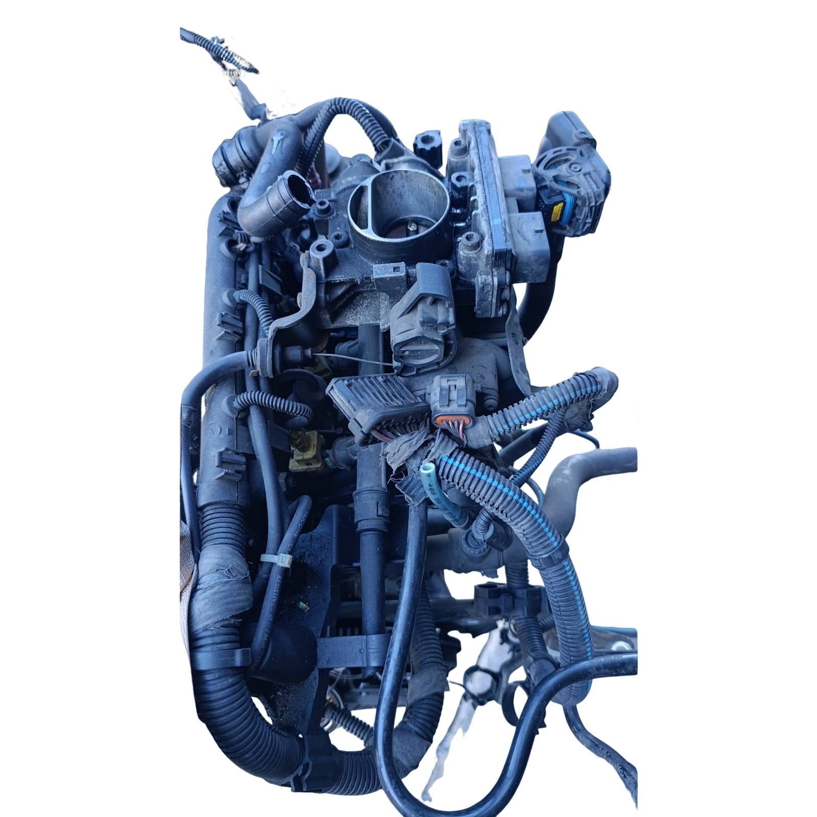 Miniatura 6