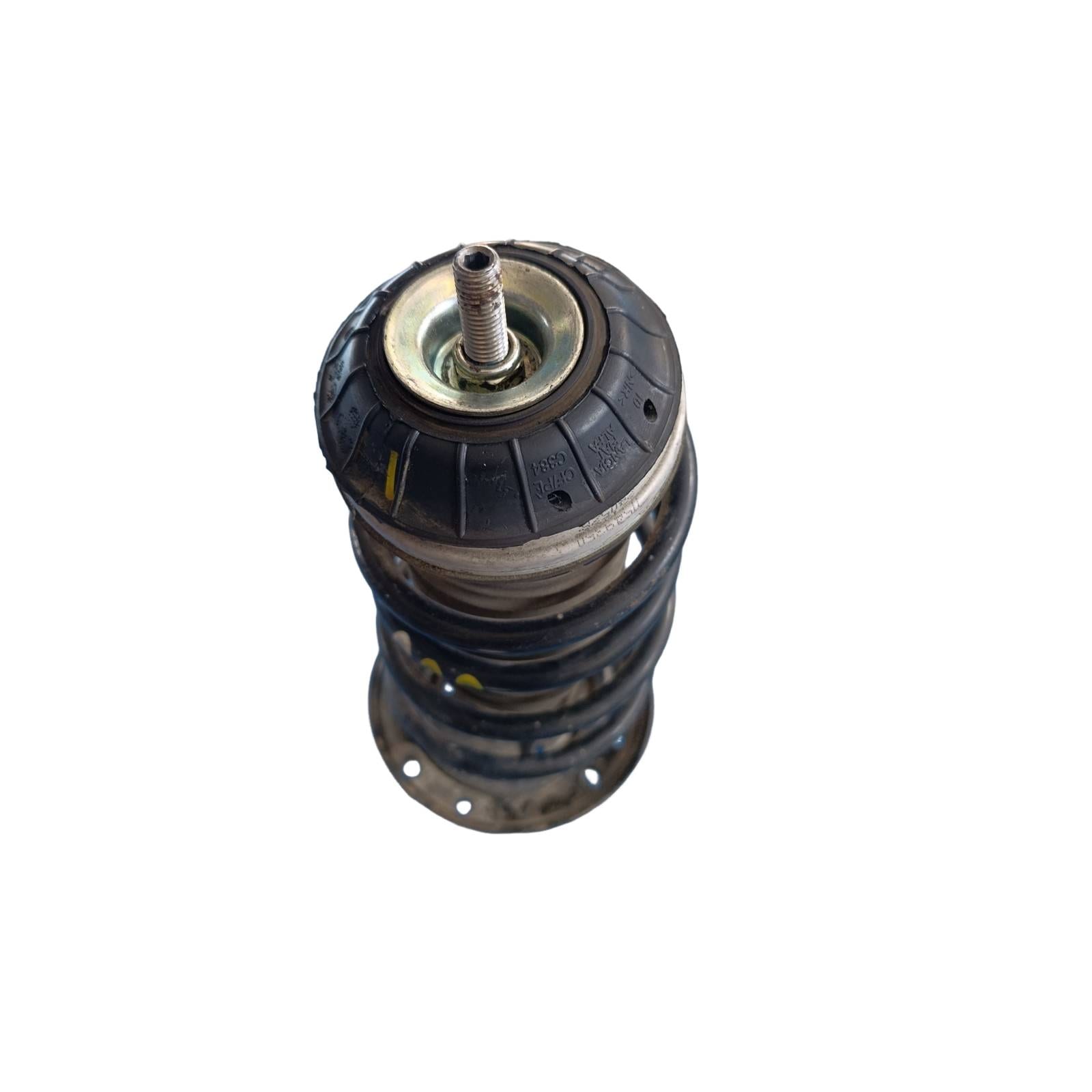 Miniatura 9
