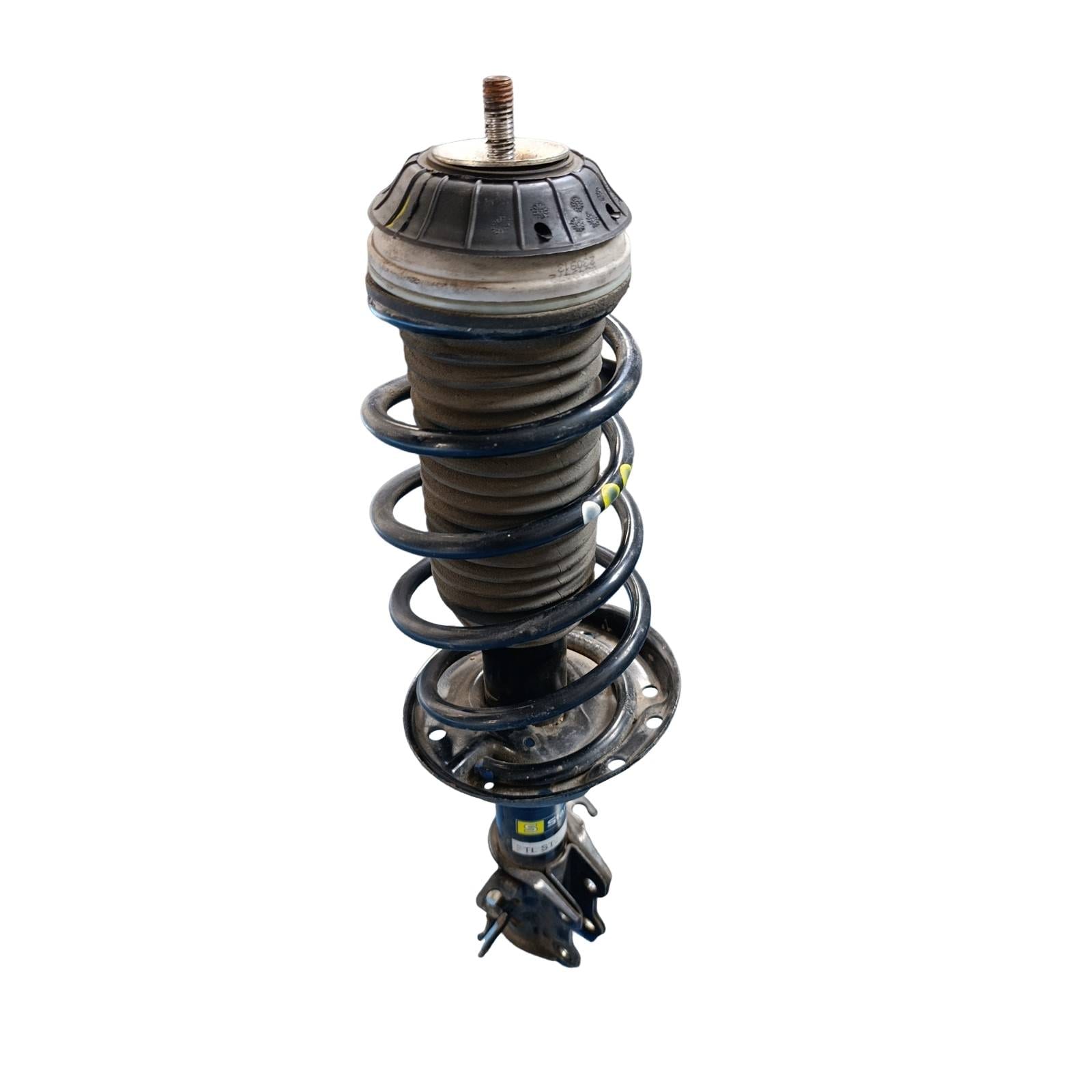Miniatura 12
