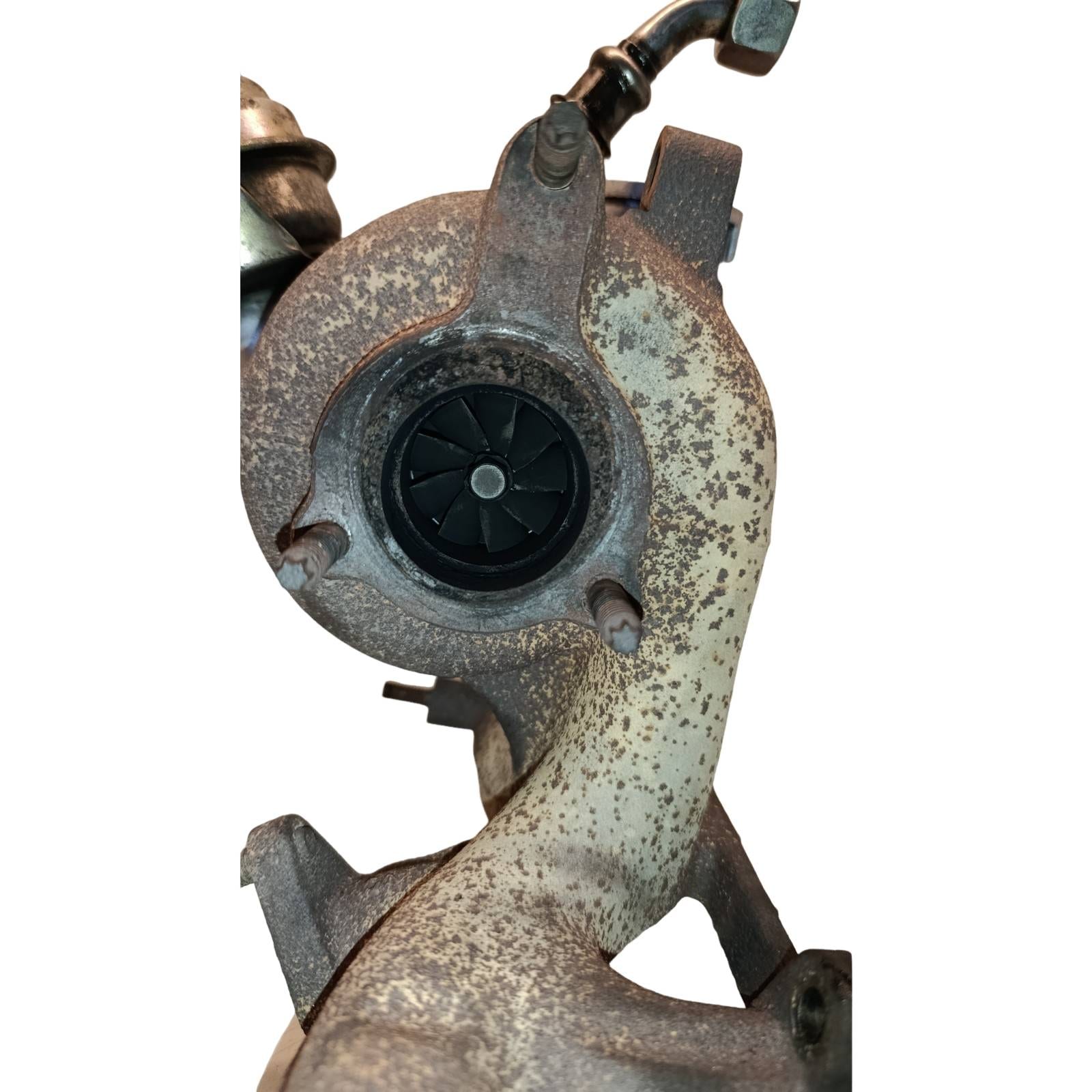 Miniatura 13