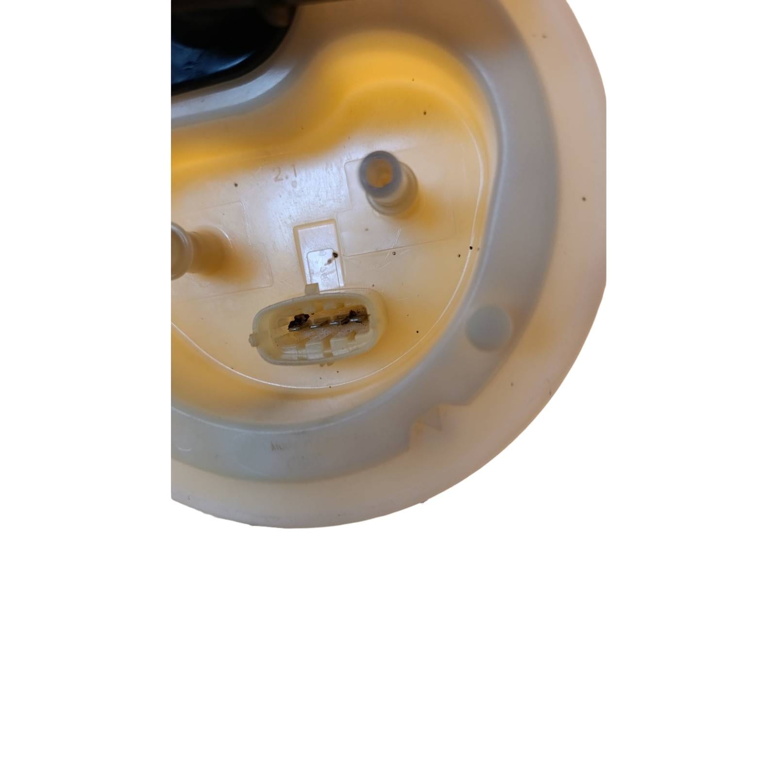 Miniatura 11