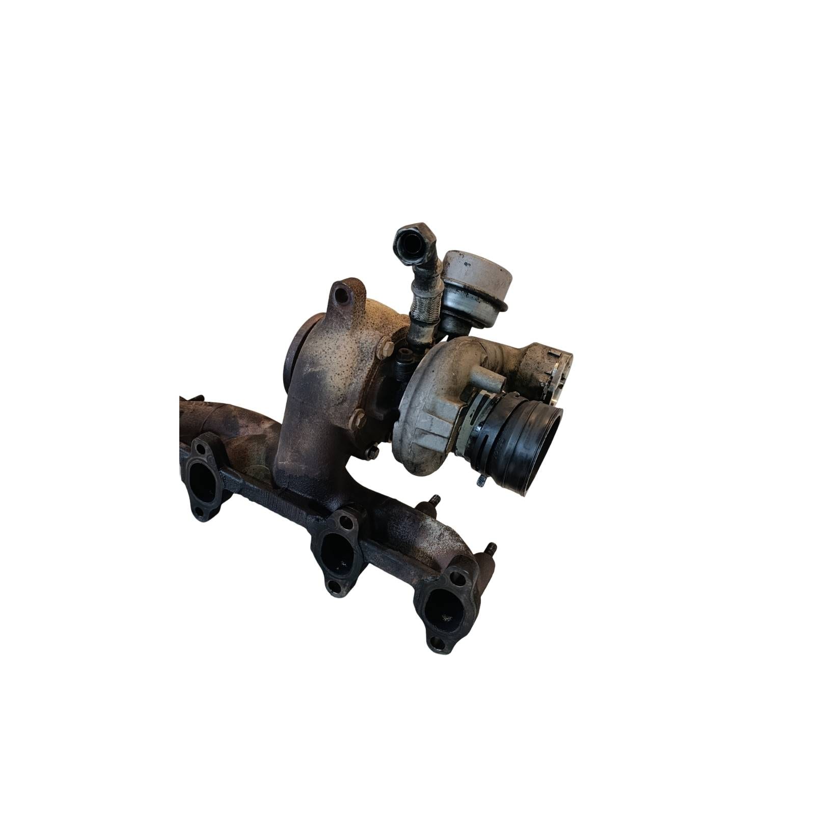 Miniatura 13