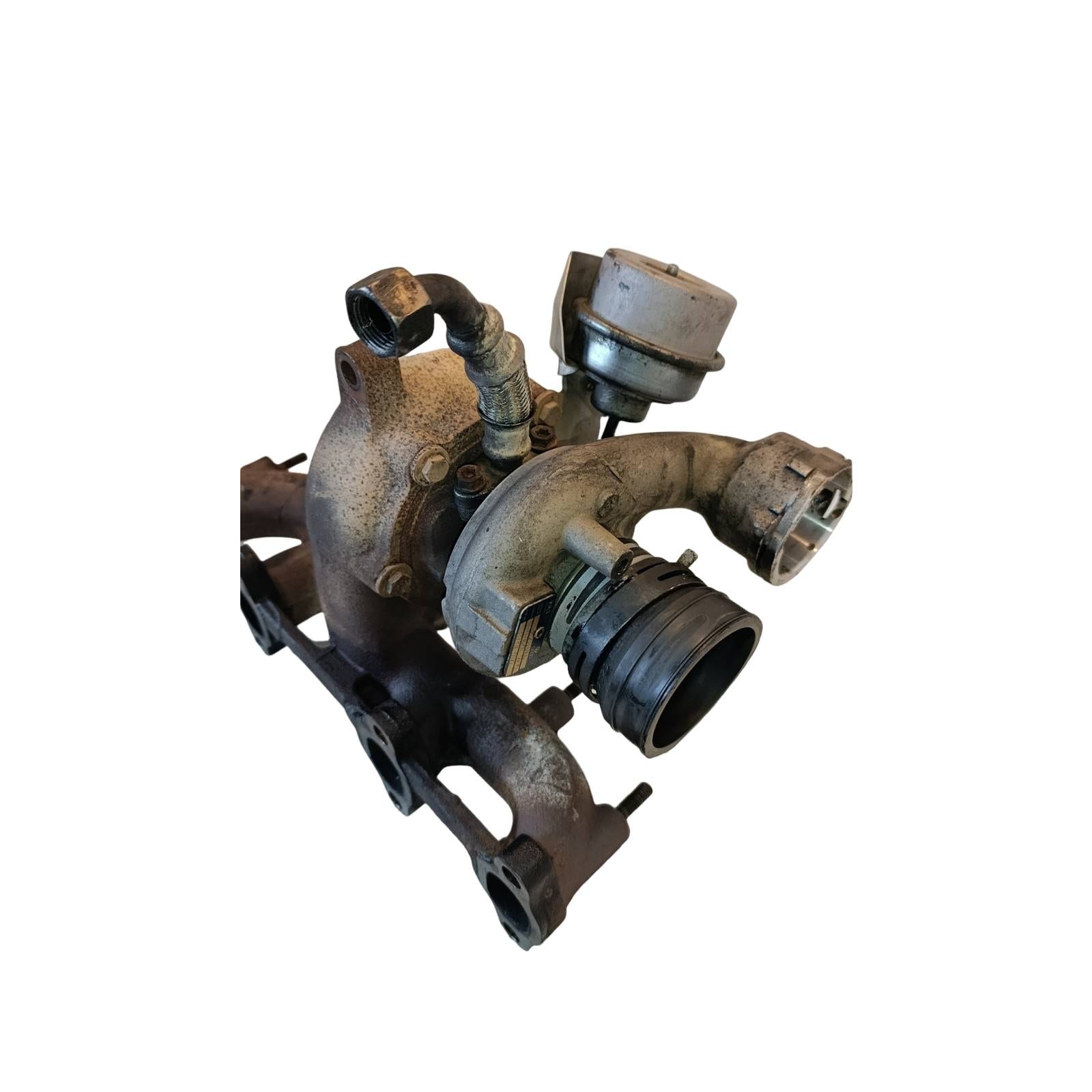 Miniatura 14