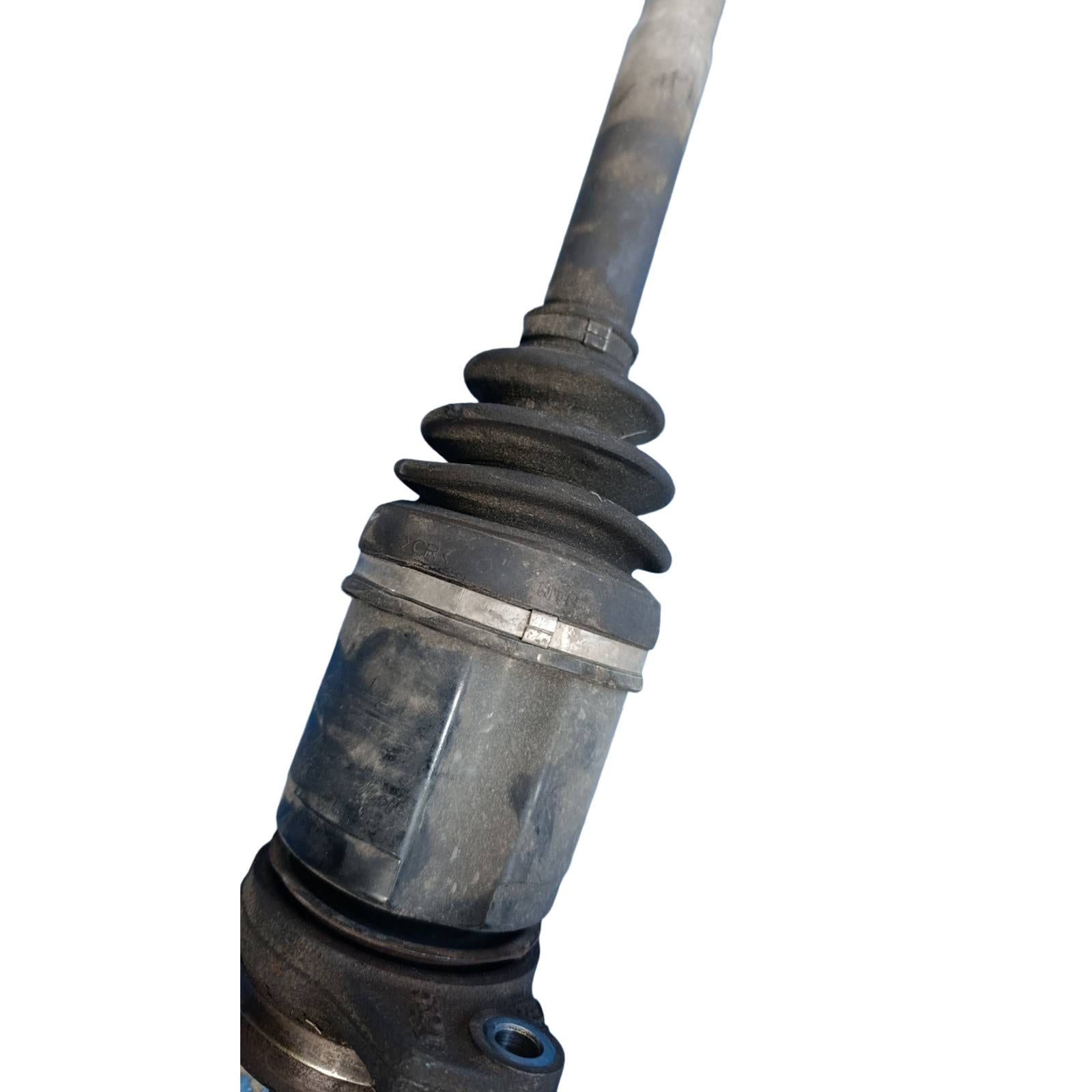 Miniatura 12