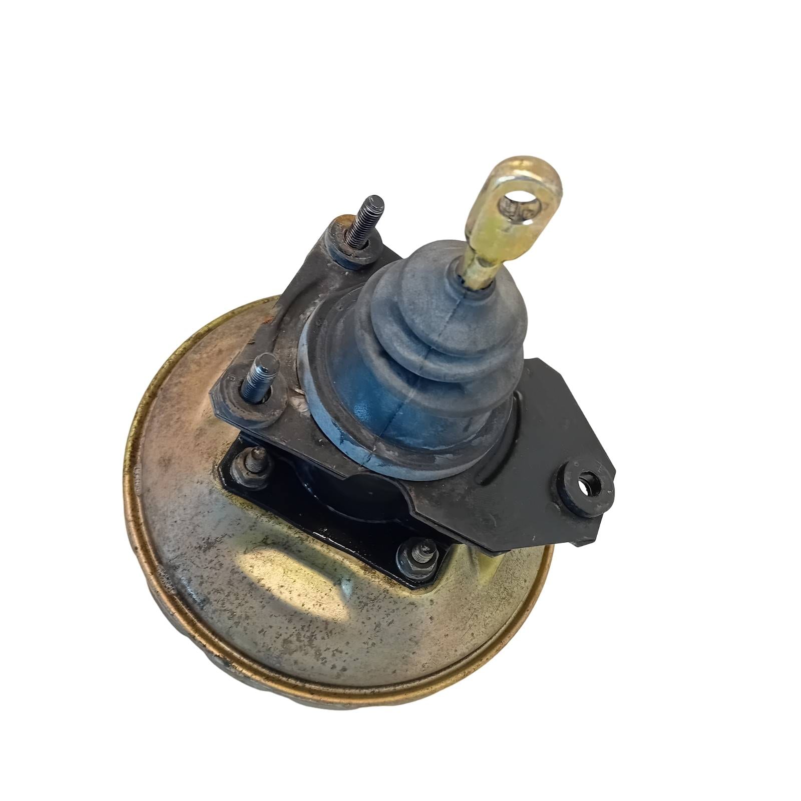 Miniatura 6