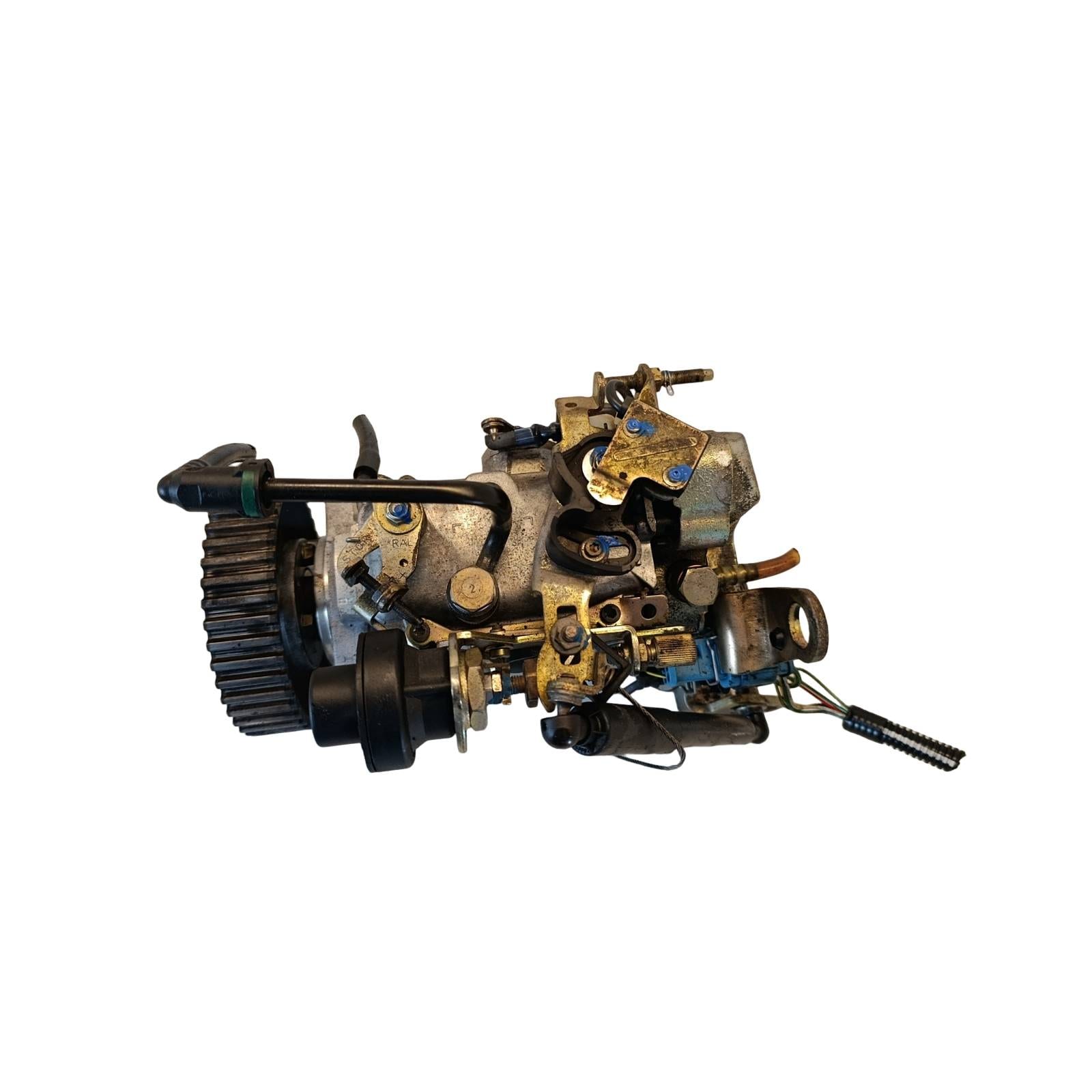 Miniatura 4