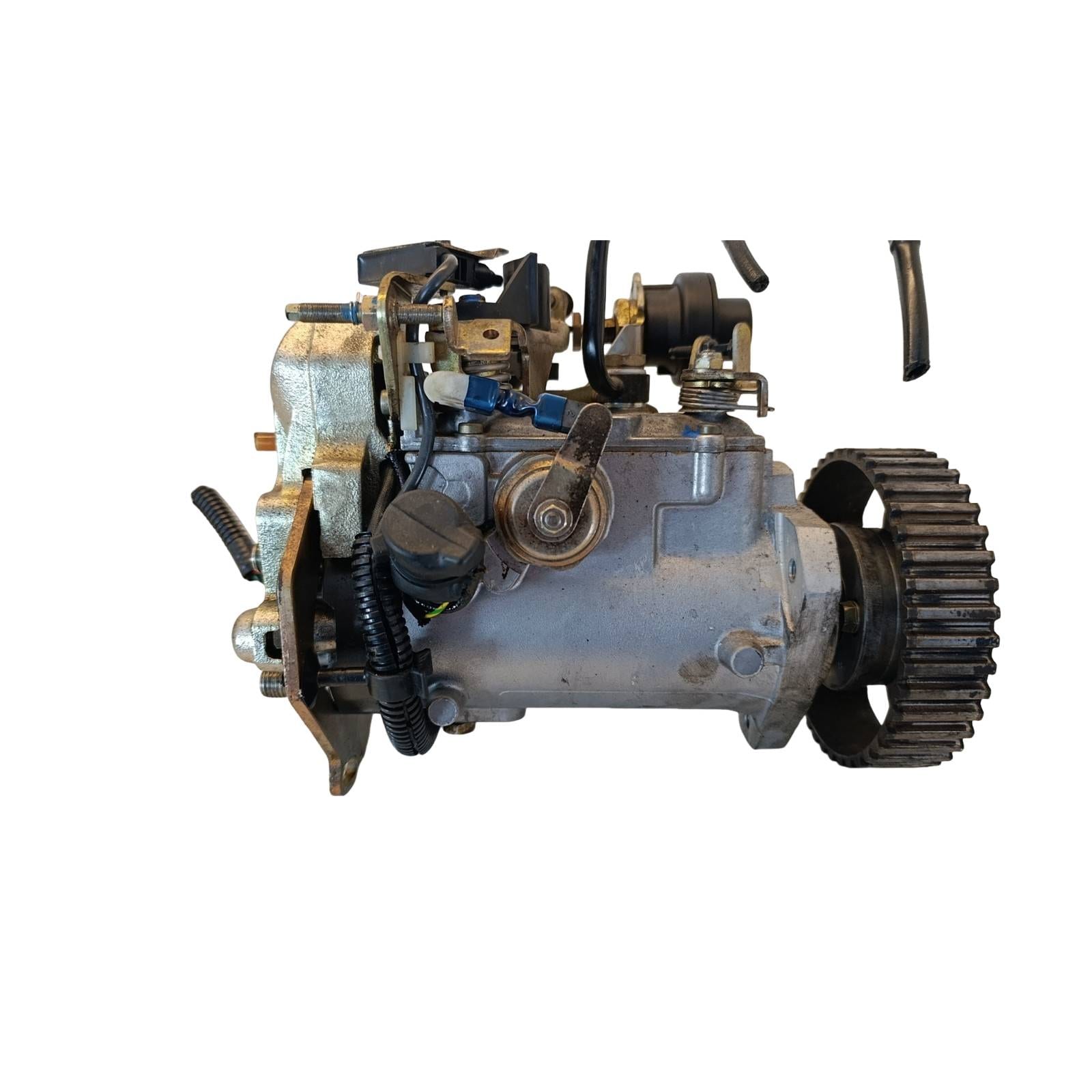 Miniatura 7