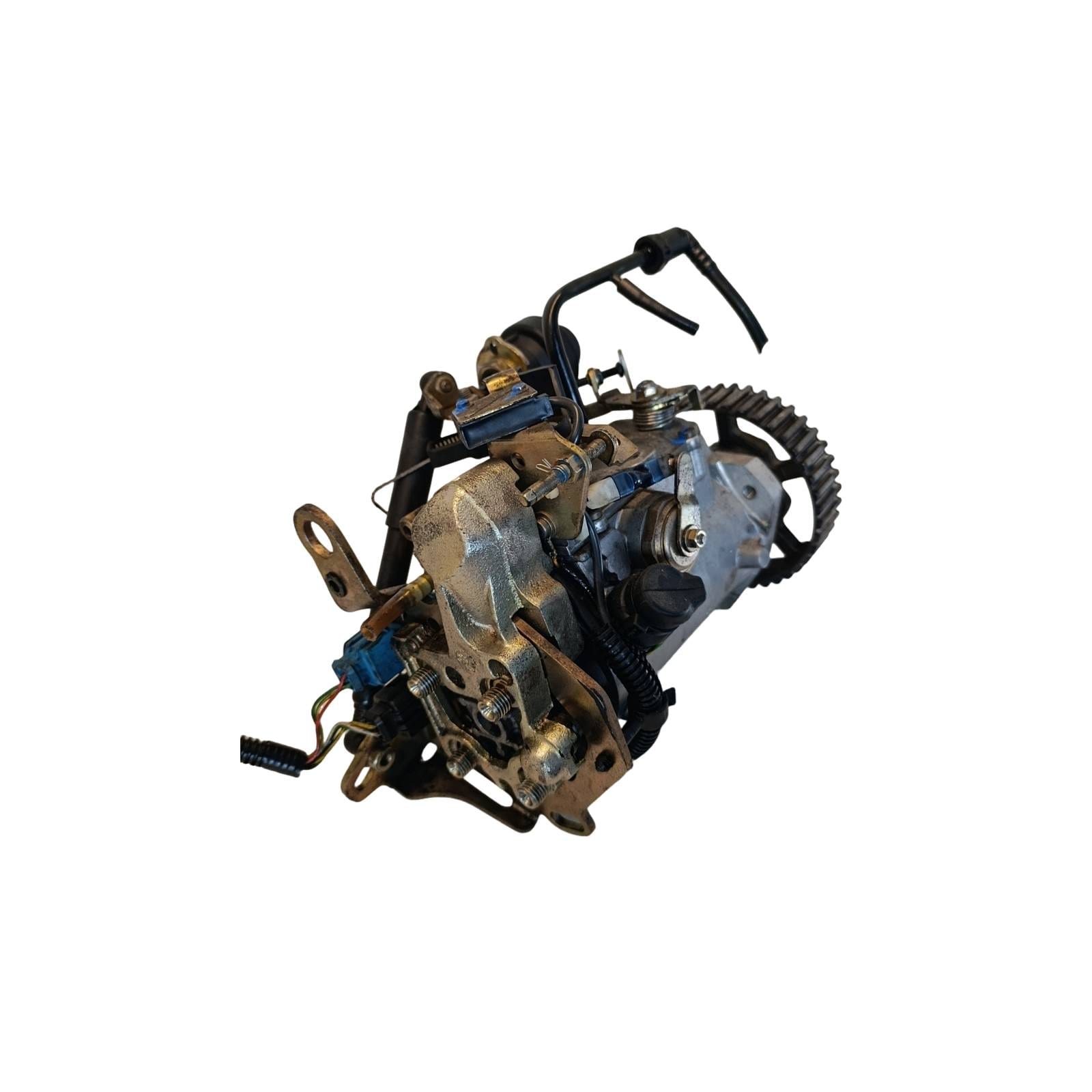Miniatura 8