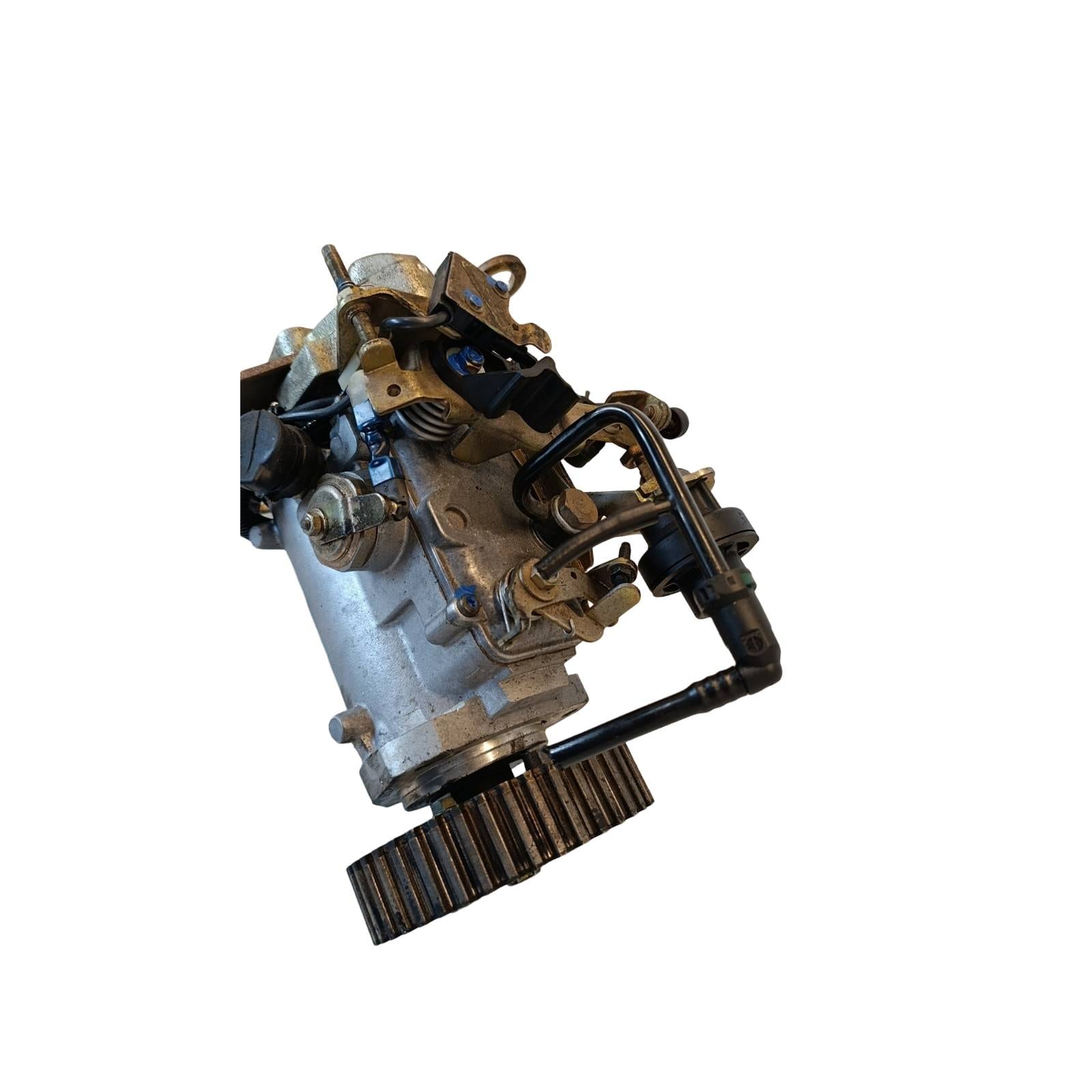 Miniatura 9