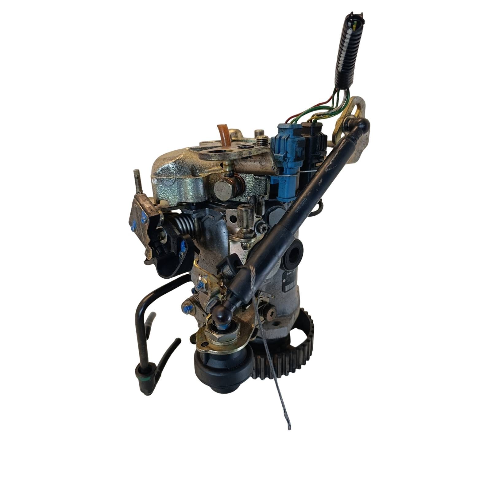 Miniatura 12