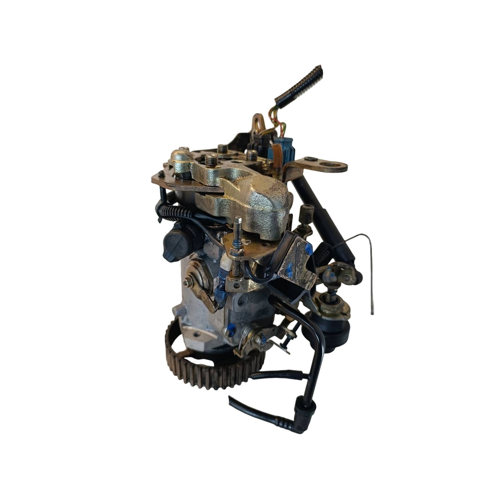 Miniatura 13