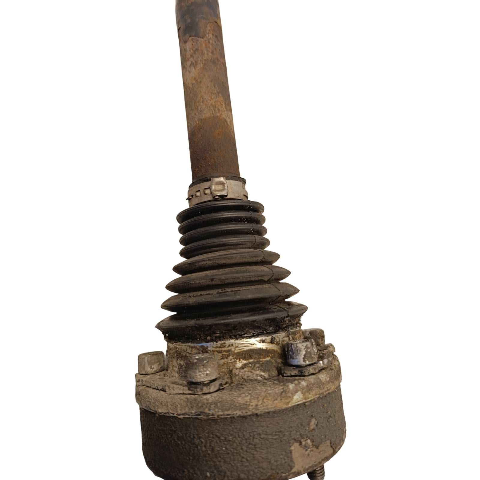 Miniatura 8