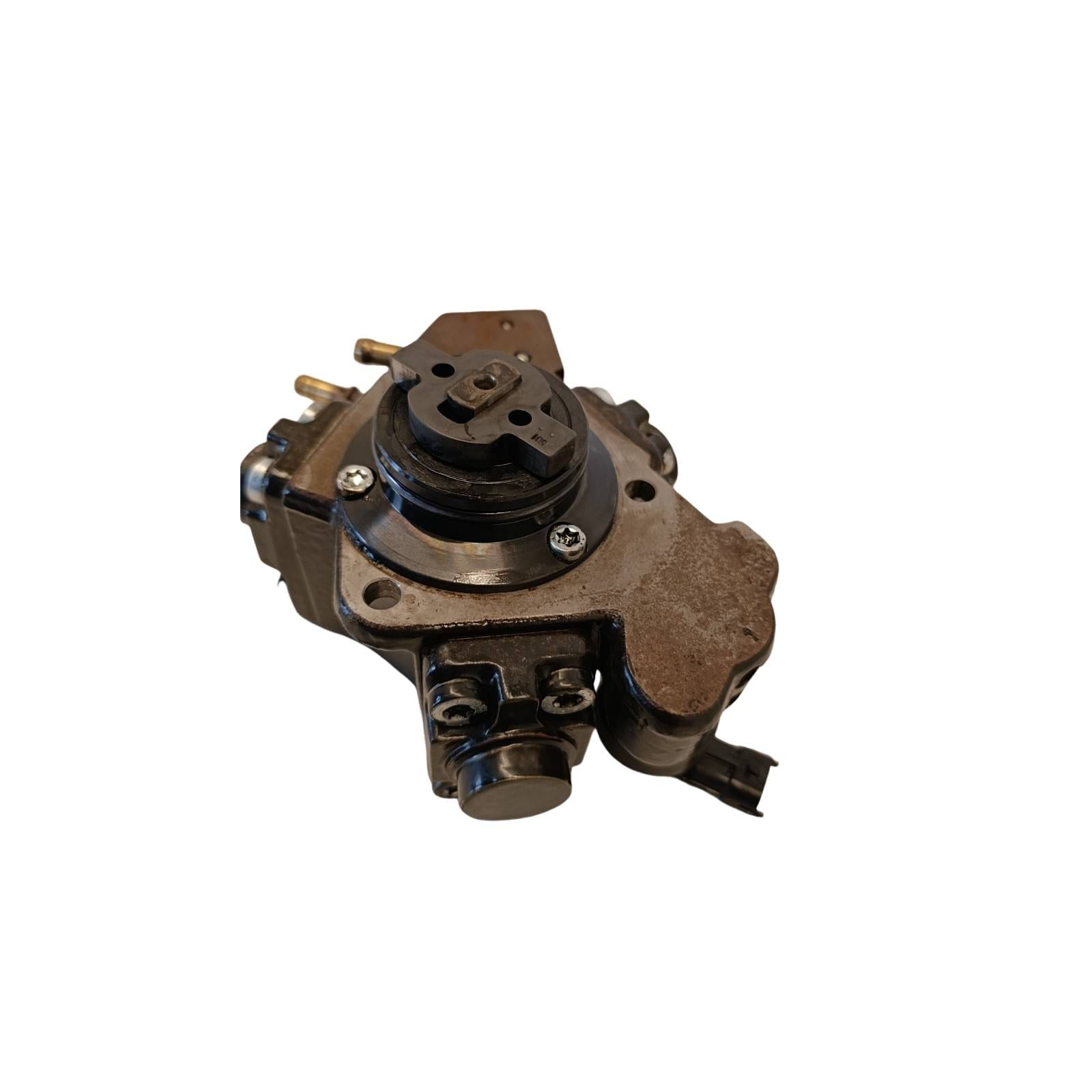 Miniatura 10