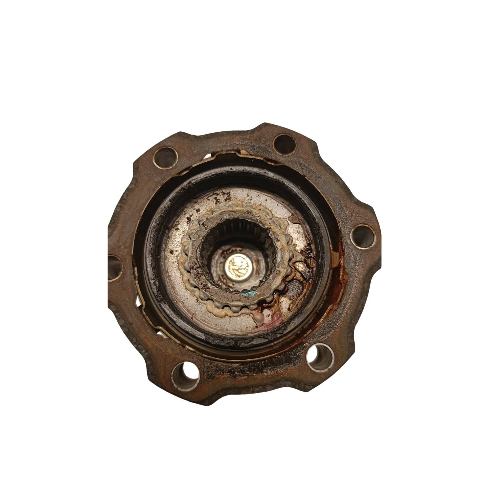 Miniatura 7