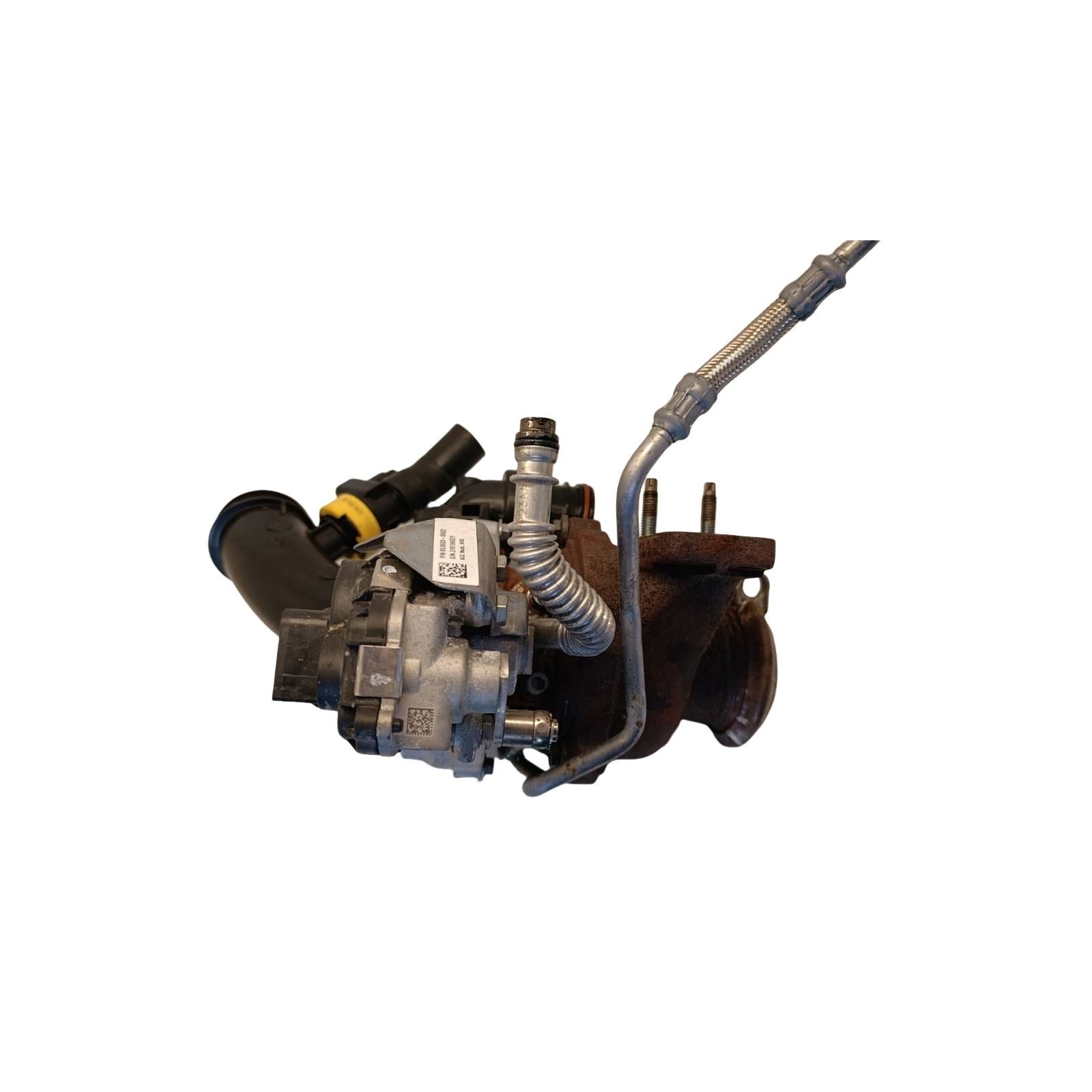 Miniatura 13