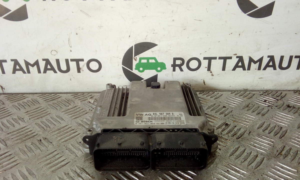 Centralina Iniezione 04L907309R 0281031066 Usato