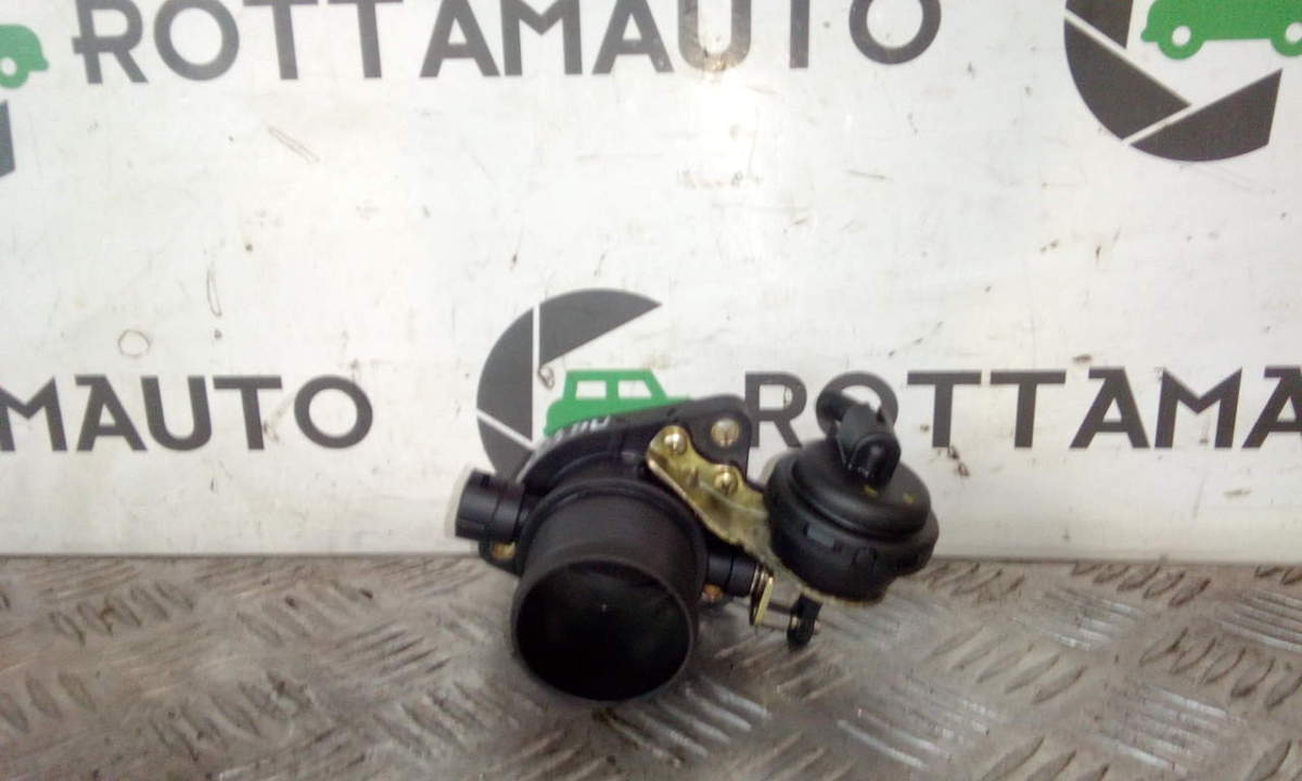 Corpo Farfallato dell'orto BA1 Usato