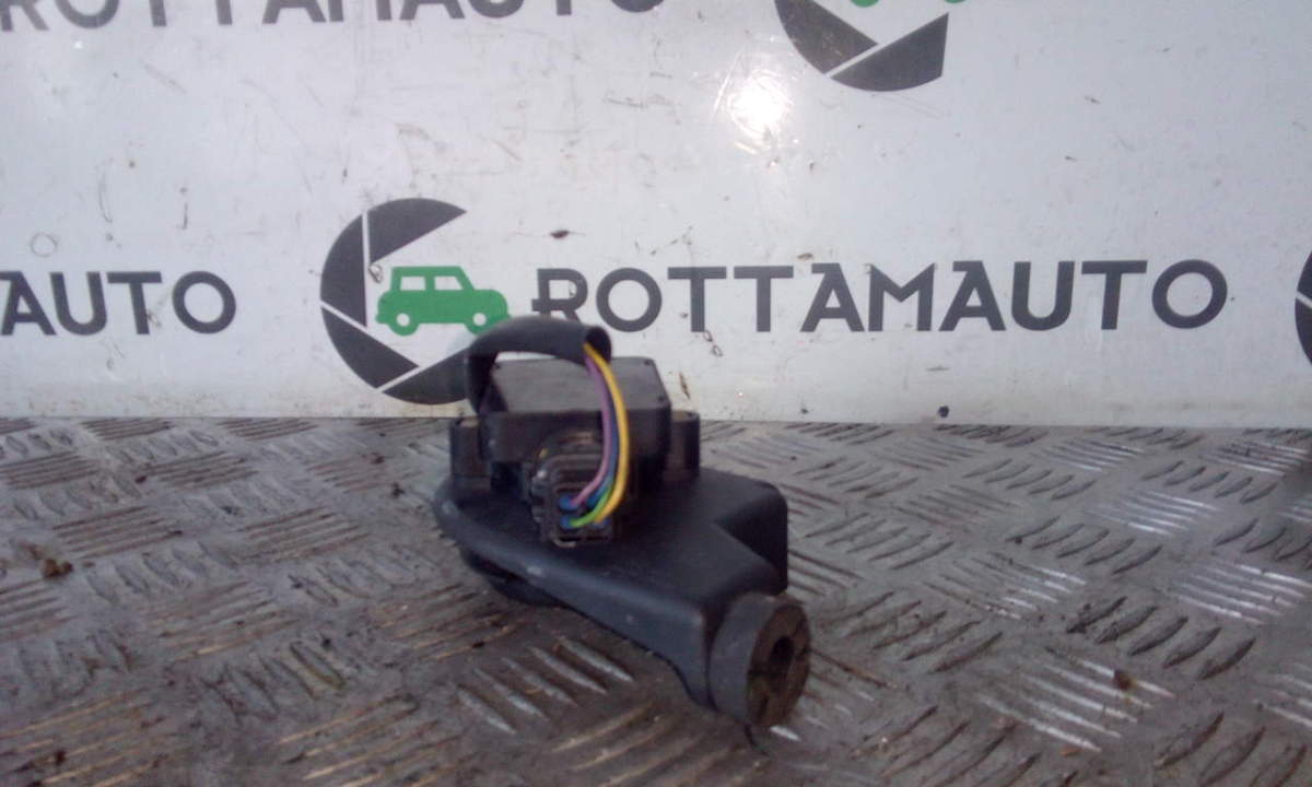 Potenziometro Acceleratore 9643365680 445821001002 Usato
