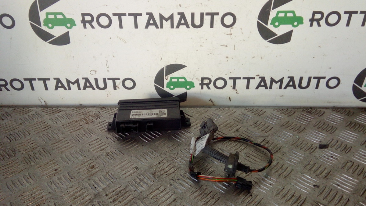 Centralina Sensori Parcheggio 0263004204 9663821680 Usato