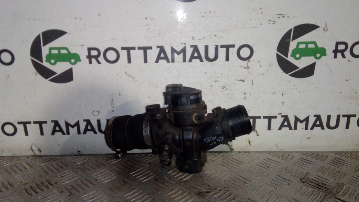 Corpo Farfallato 9660030480 Usato