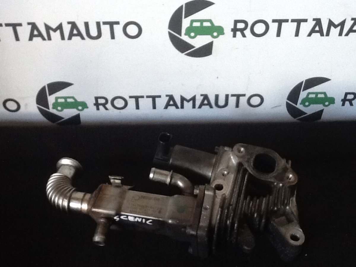 Scambiatore Calore Egr PIERBURG H Usato