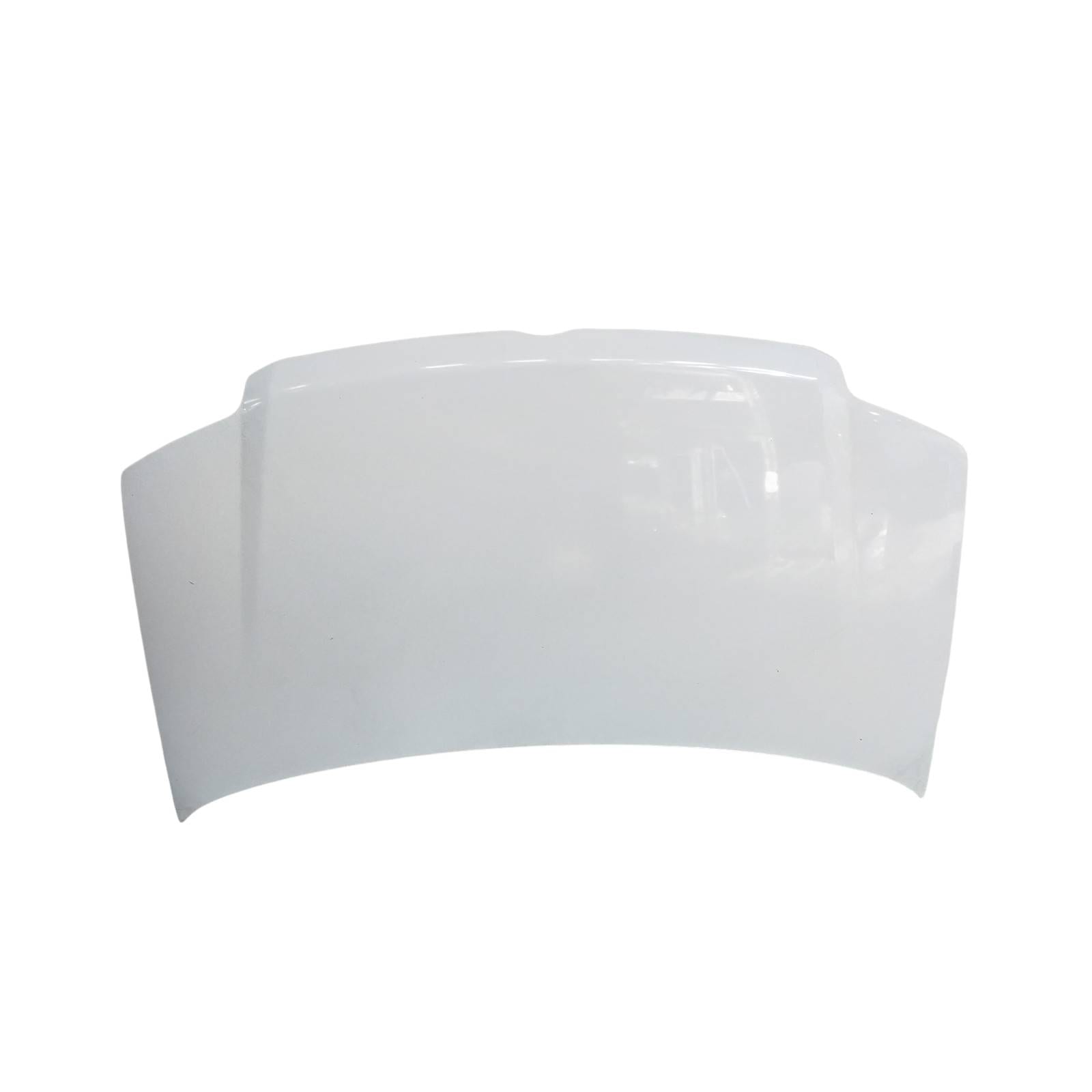 Cofano Ant. 51876323 Usato