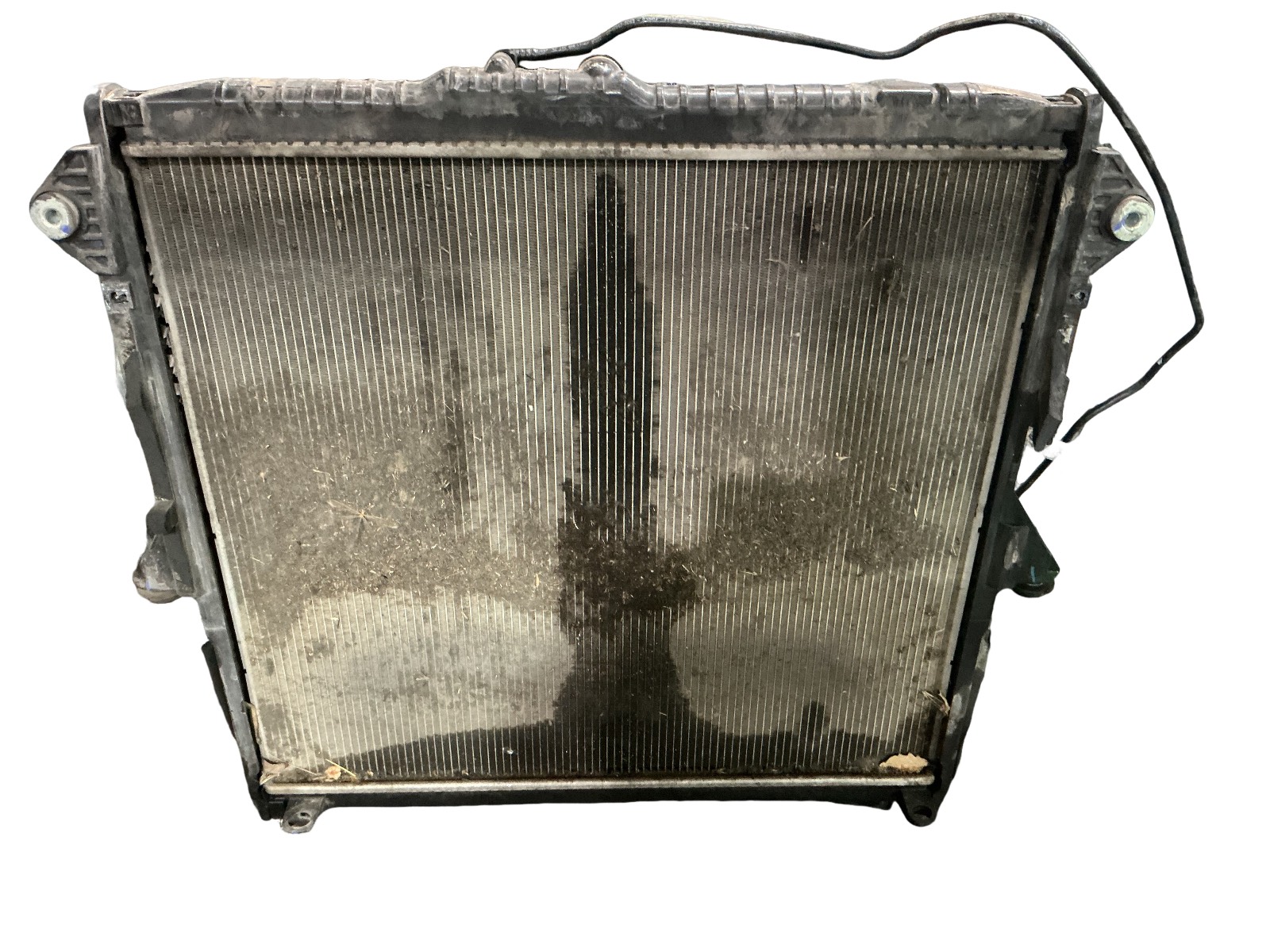 Radiatore Ford RANGER (TKE) (01/12>12/23<) 2117290 Usato