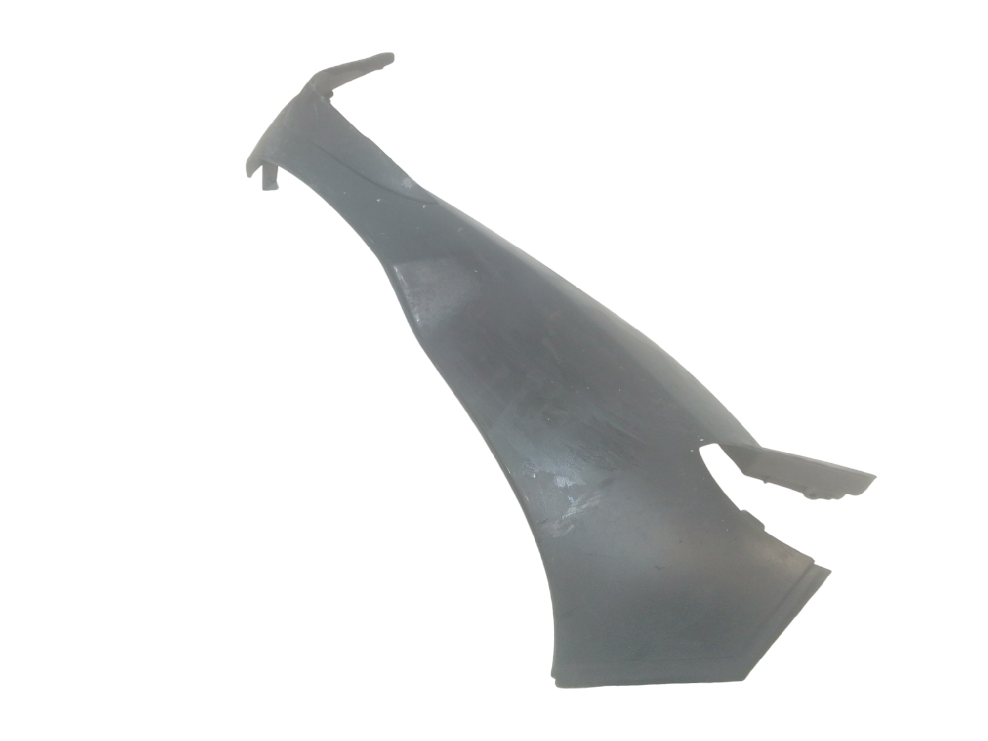 Fianchetto carena SX - Immagine 1 di 4