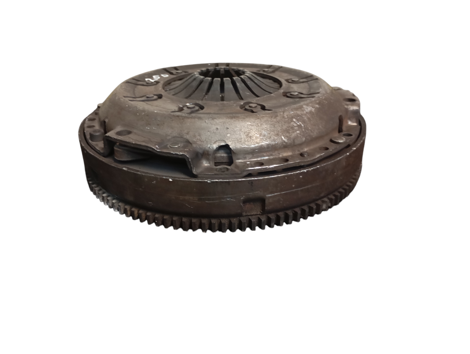 Miniatura 3