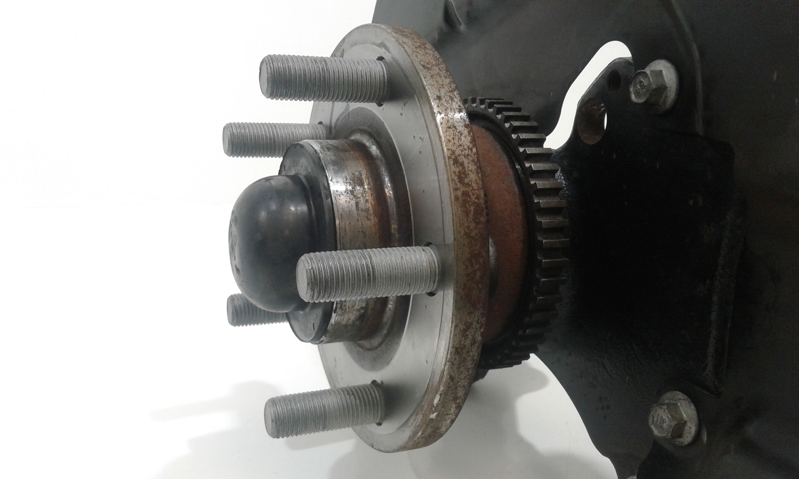 Miniatura 6