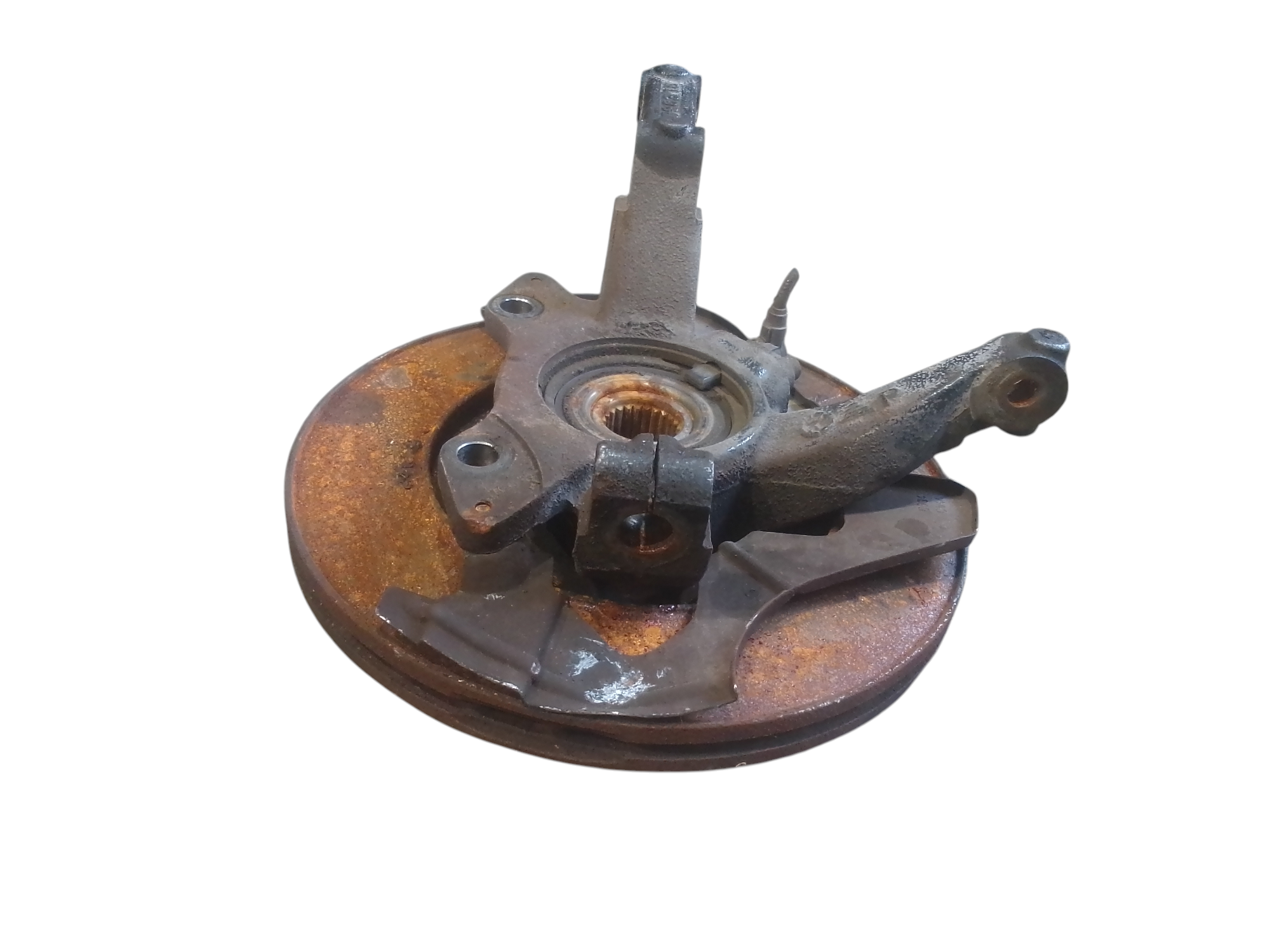 Miniatura 5