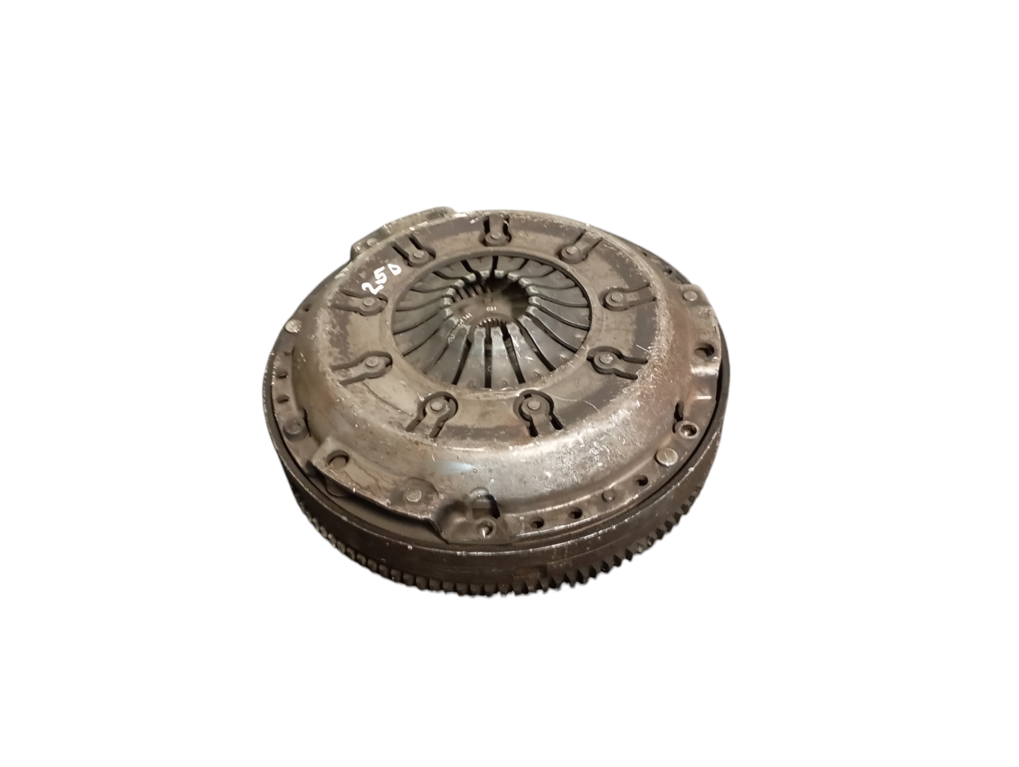 Miniatura 5