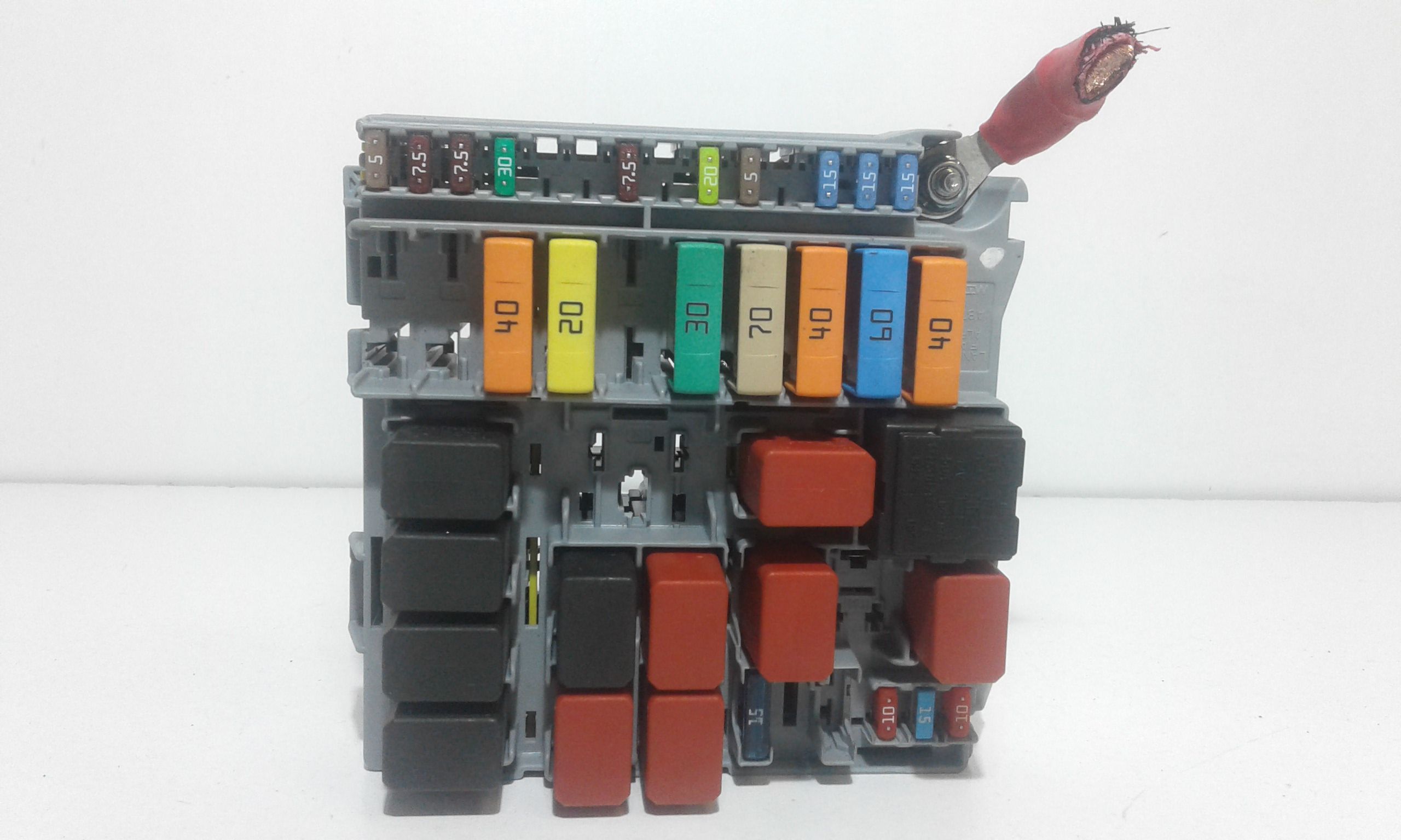 Miniatura 2