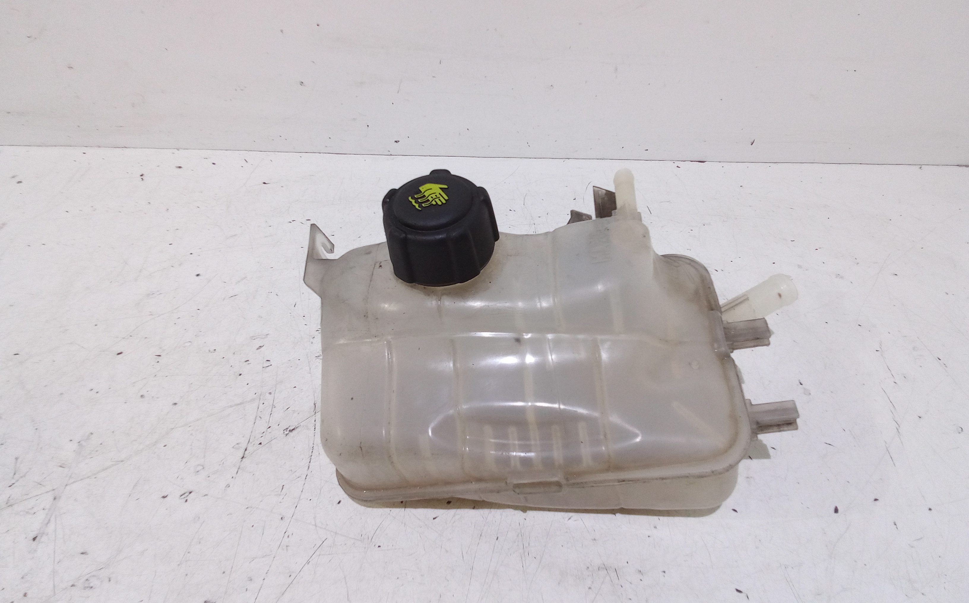Vaschetta Compensazione Radiatore 217100005R Usato