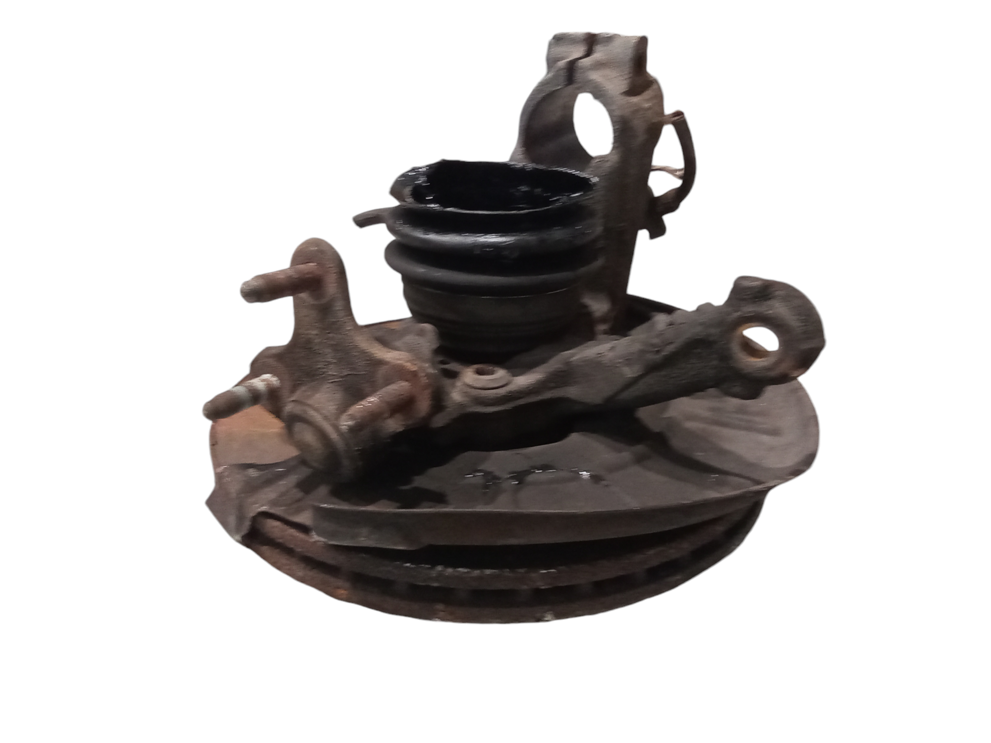 Miniatura 6