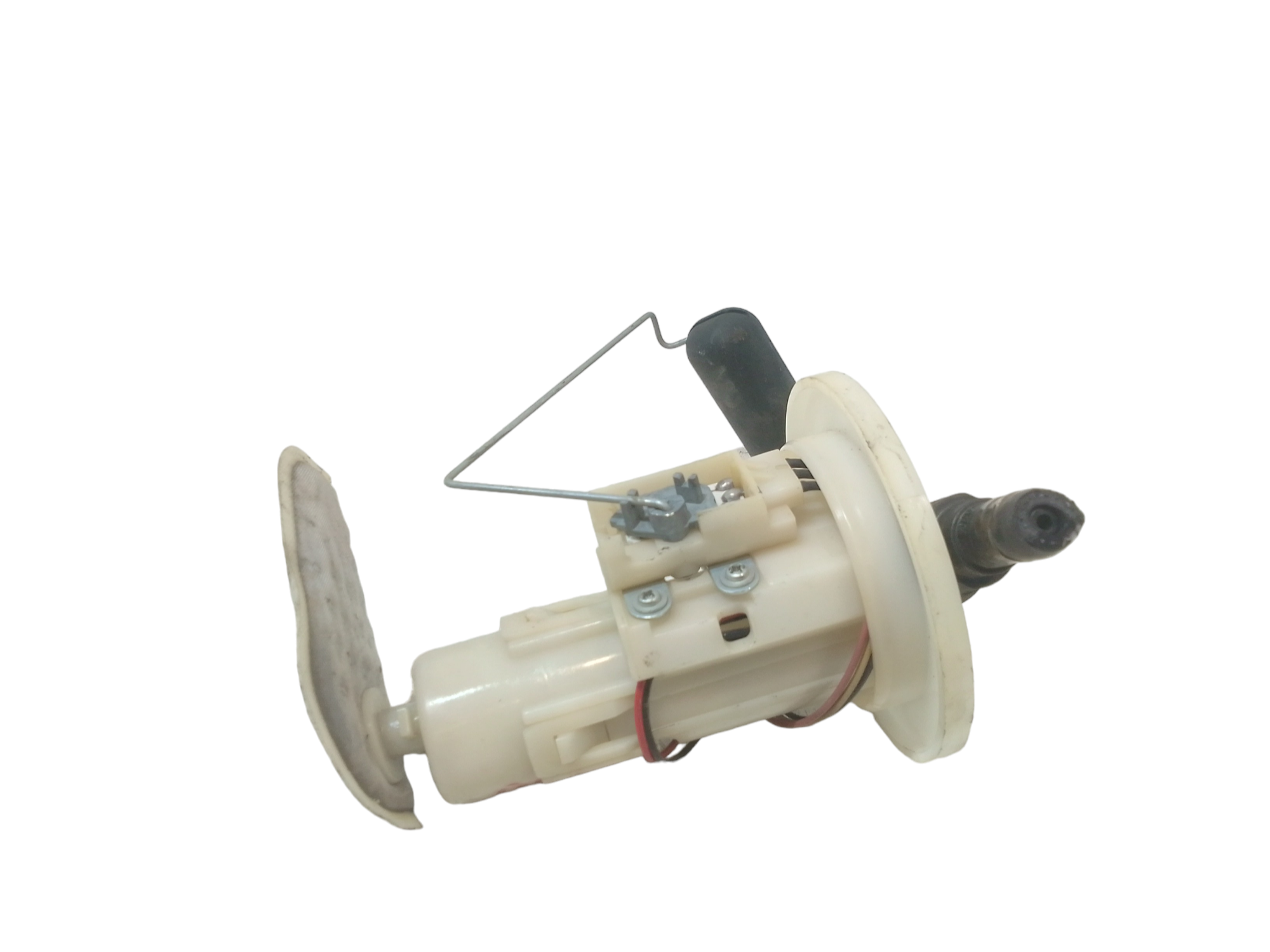 Miniatura 5