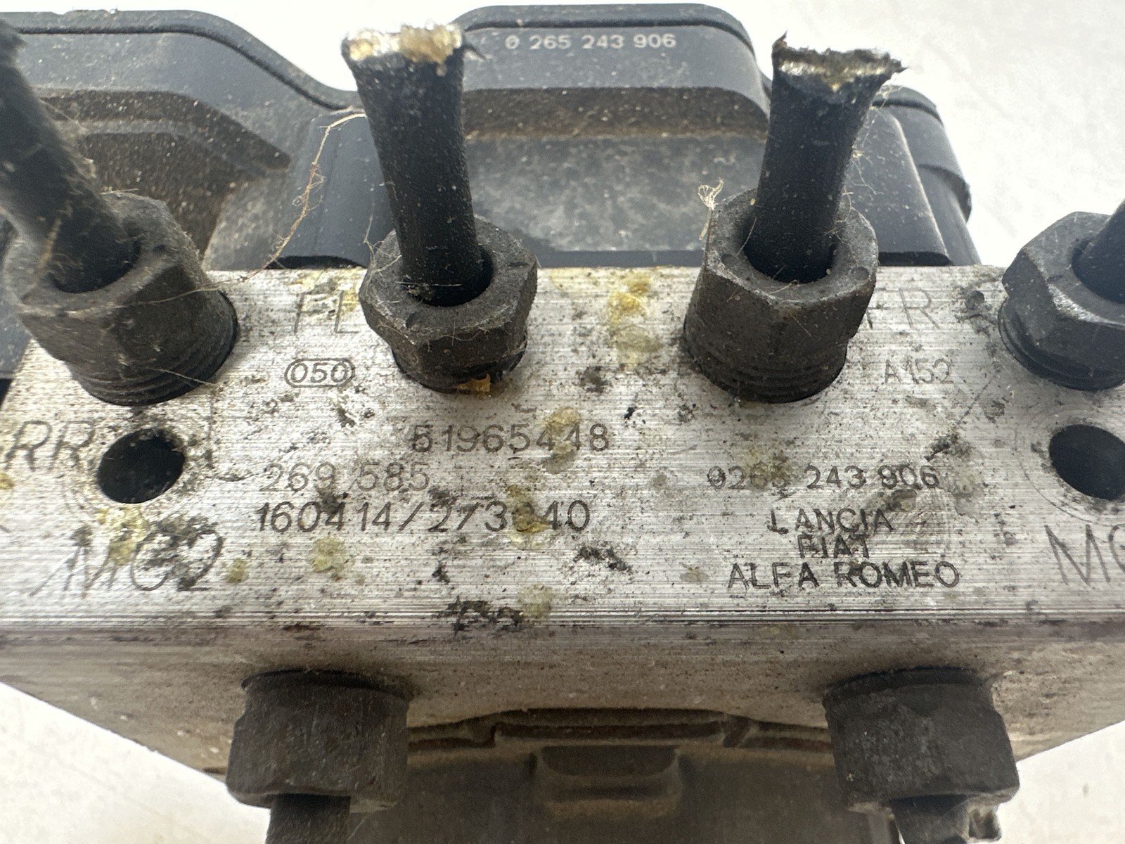 Miniatura 7