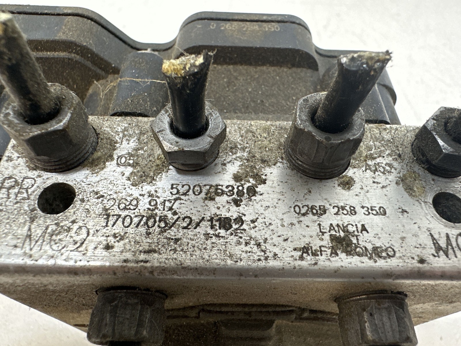Miniatura 6