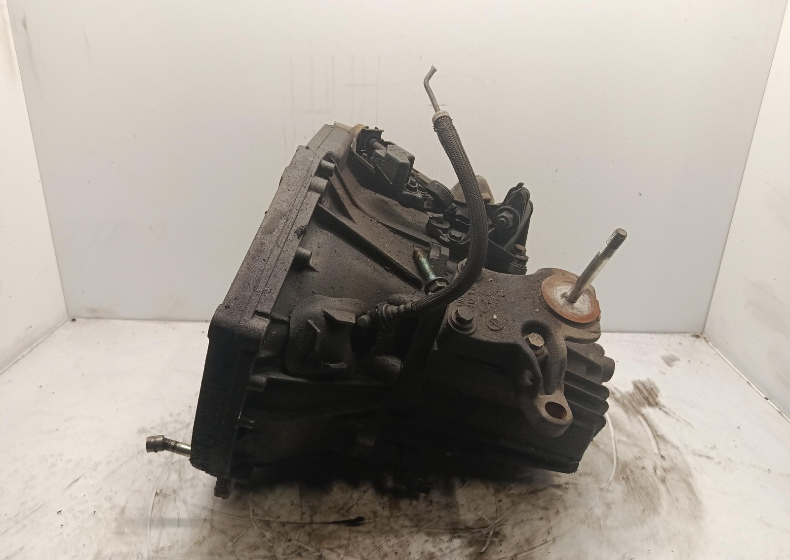 Miniatura 4